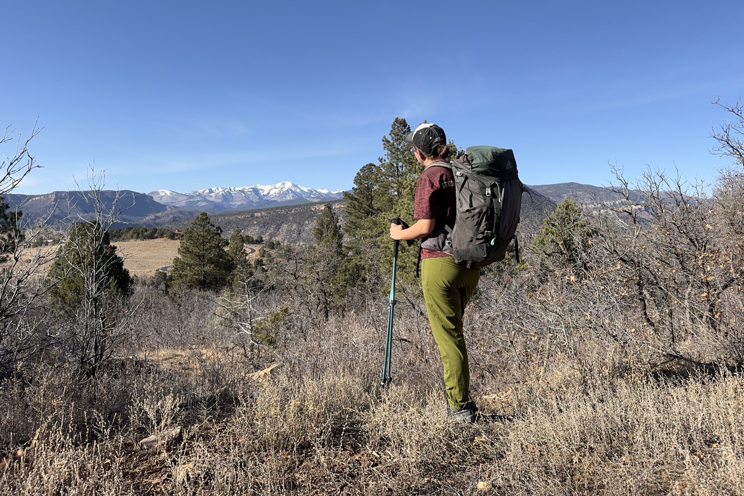 A person wearing a backpack and holding trekking poles is standing on a hill over looking a mountain view.