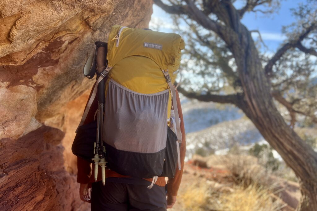 A hiker wearing the fully packed Gorilla 50 backpack facing away from the camera with a tree and desert scene in the background.