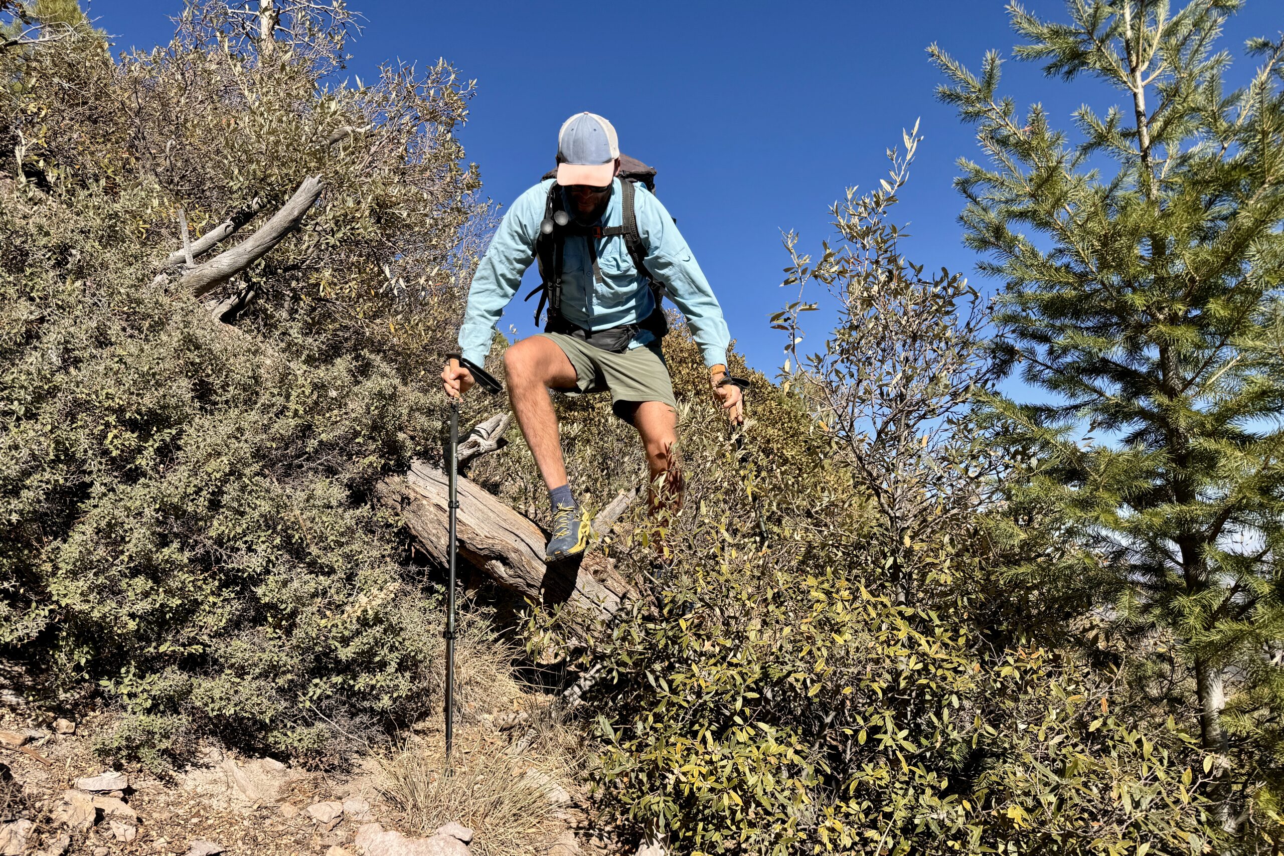 A person wearing a backpack is using trekking poles to lift himself over a log in some bushes.