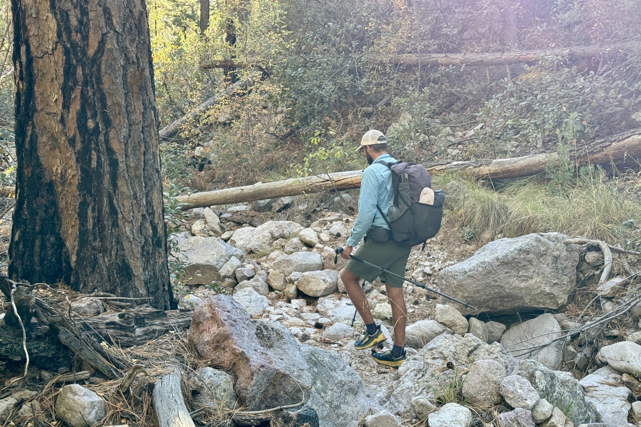 A person wearing a backpack and holding trekking poles is walking in some rocks in a forest.