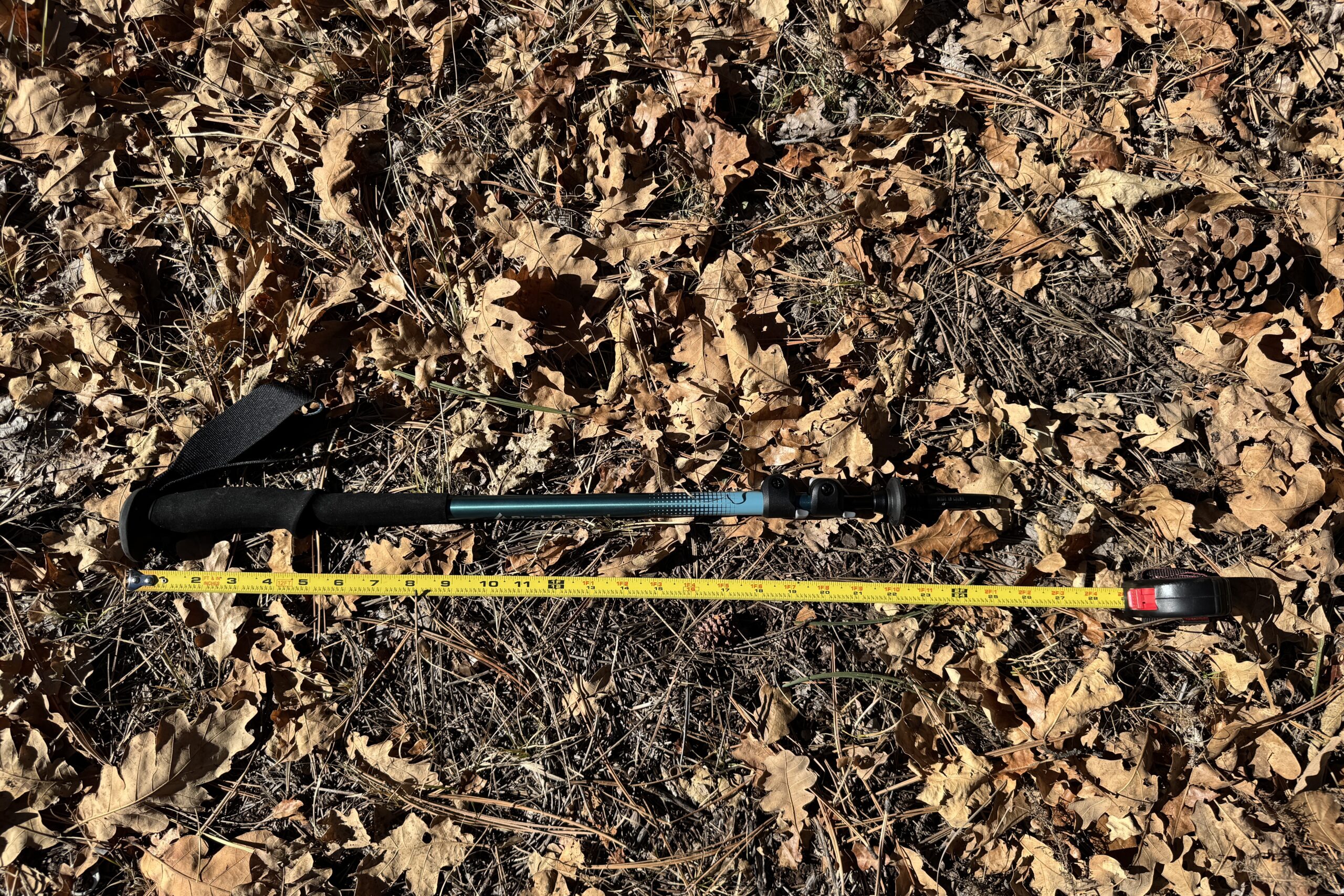 A Black Diamond Trail Back pole is laying on the ground in some leaves with a measuring tape next to it.