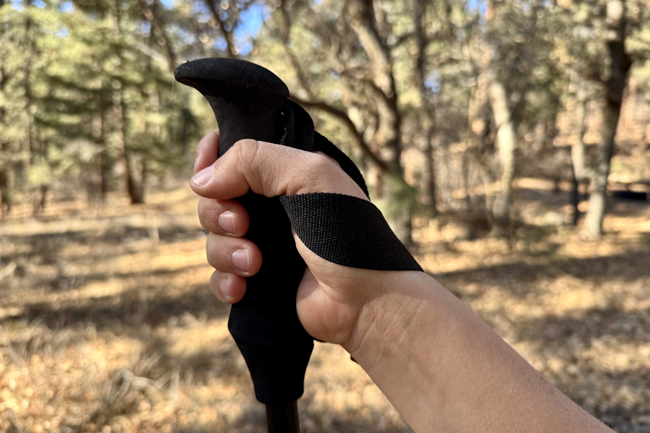 A close up of a hand holding the foam grip of the REI Flash Carbon pole with a forest in the background.