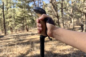 A close up of a hand holding the cork grip of the Leki Black Series FX Carbon pole with a forest in the background.
