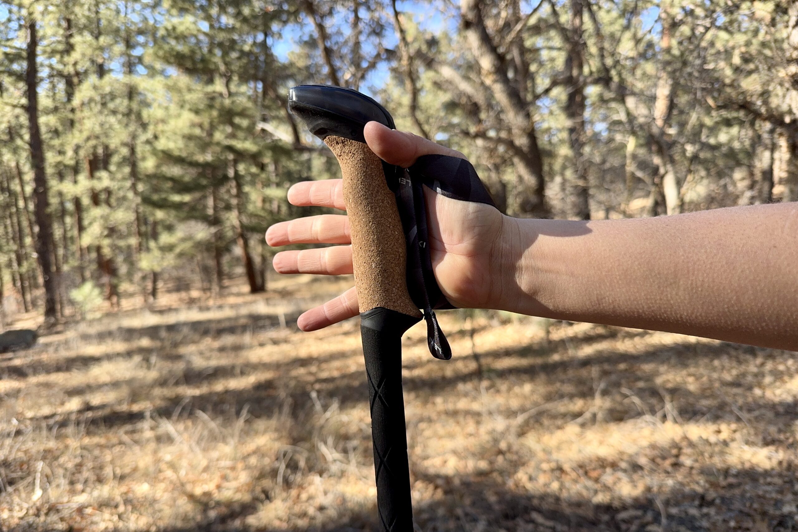 A close up of a hand holding the cork grip of the Leki Black Series FX Carbon pole with a forest in the background.