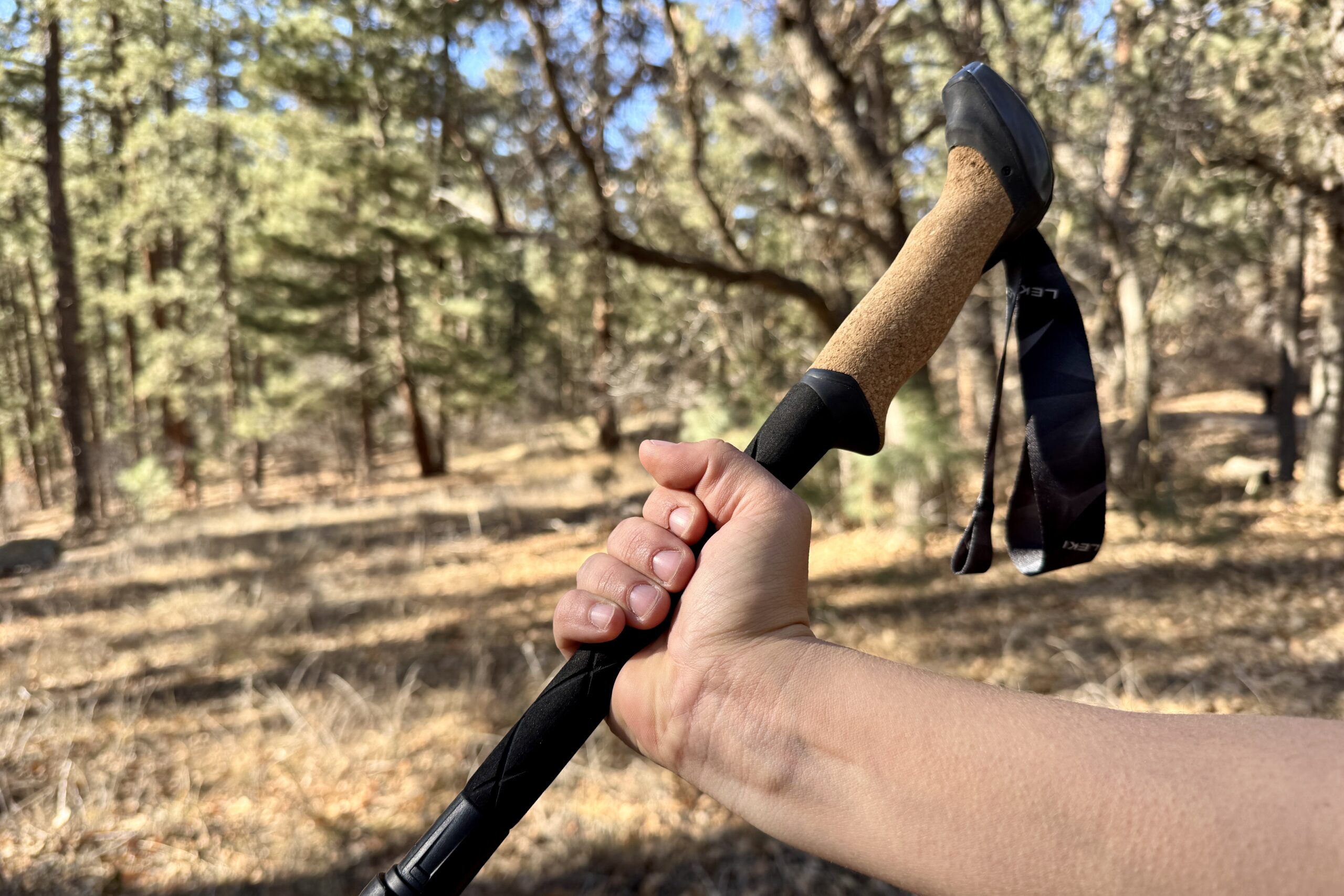 A close up of a hand holding the cork grip of the Leki Black Series FX Carbon pole with a forest in the background.