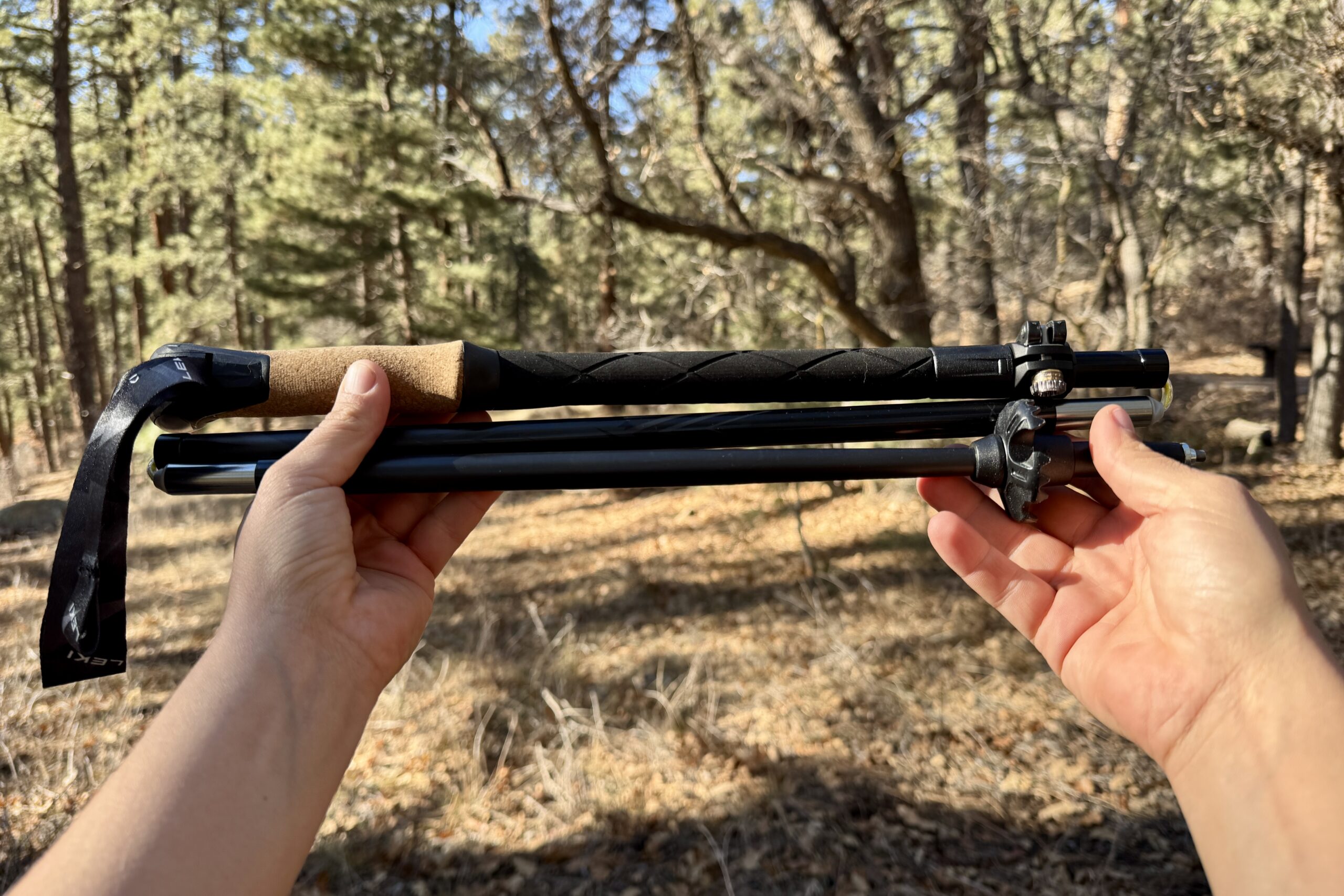 Two hands are holding up the Leki Black Series FX Carbon in its collapsed state. There is a forest in the background.