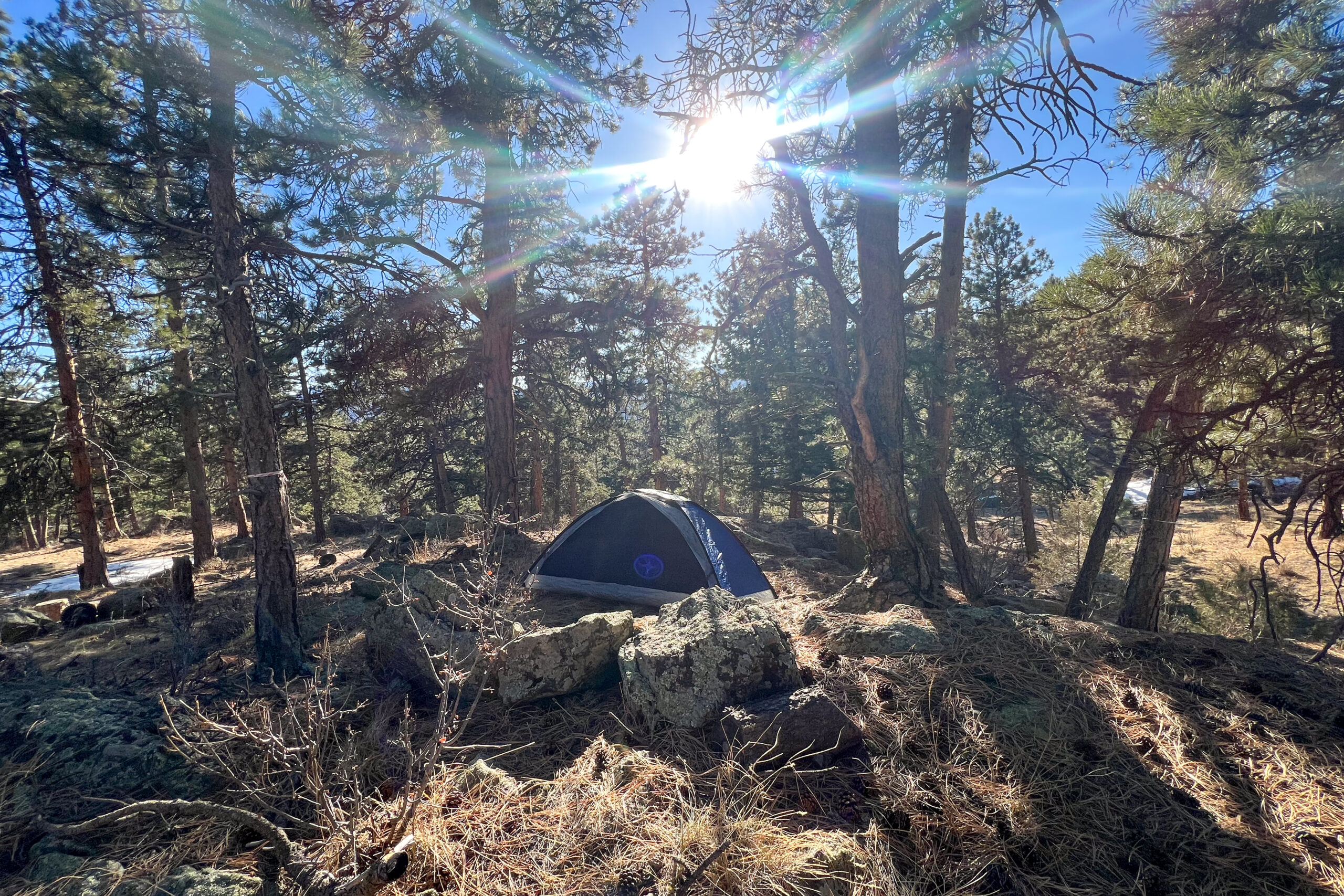The Samaya 2.0 tent nestled among trees in a snowy forest with sunlight streaming through, creating a serene wilderness scene.