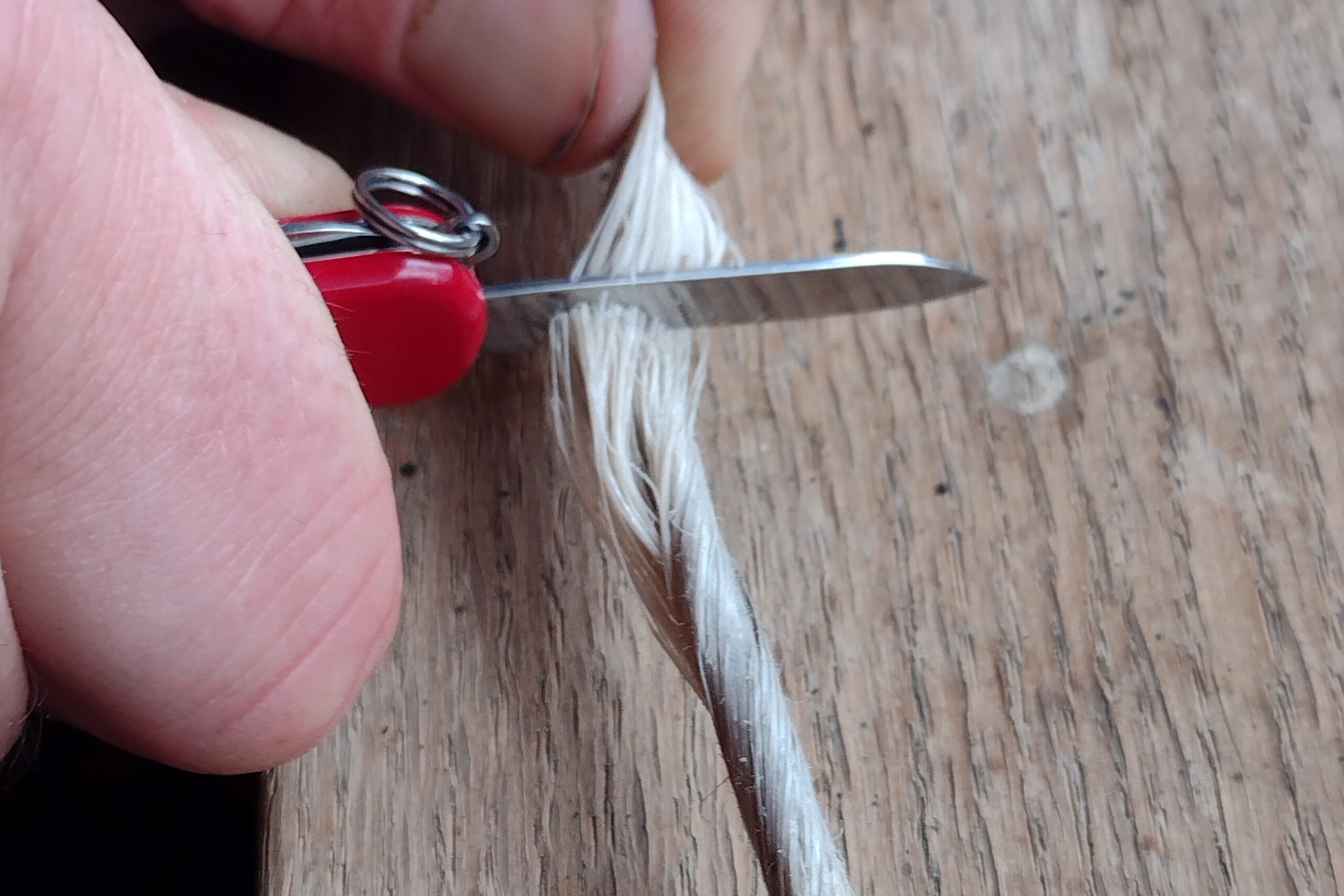 The Victorinox Classic SD cutting through twine.