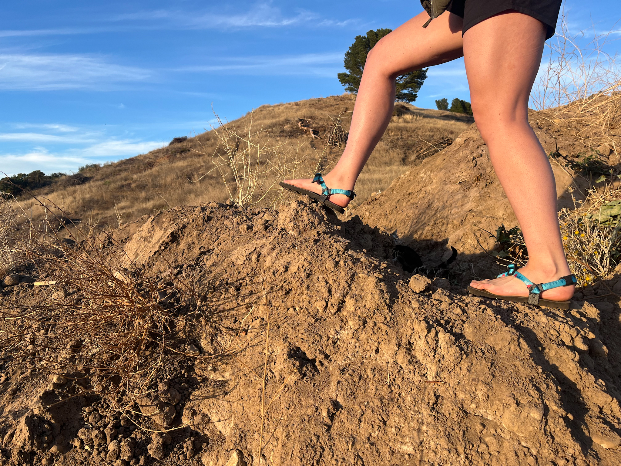 Our tester on a hike wearing the Luna Mono Winged edition sandals.
