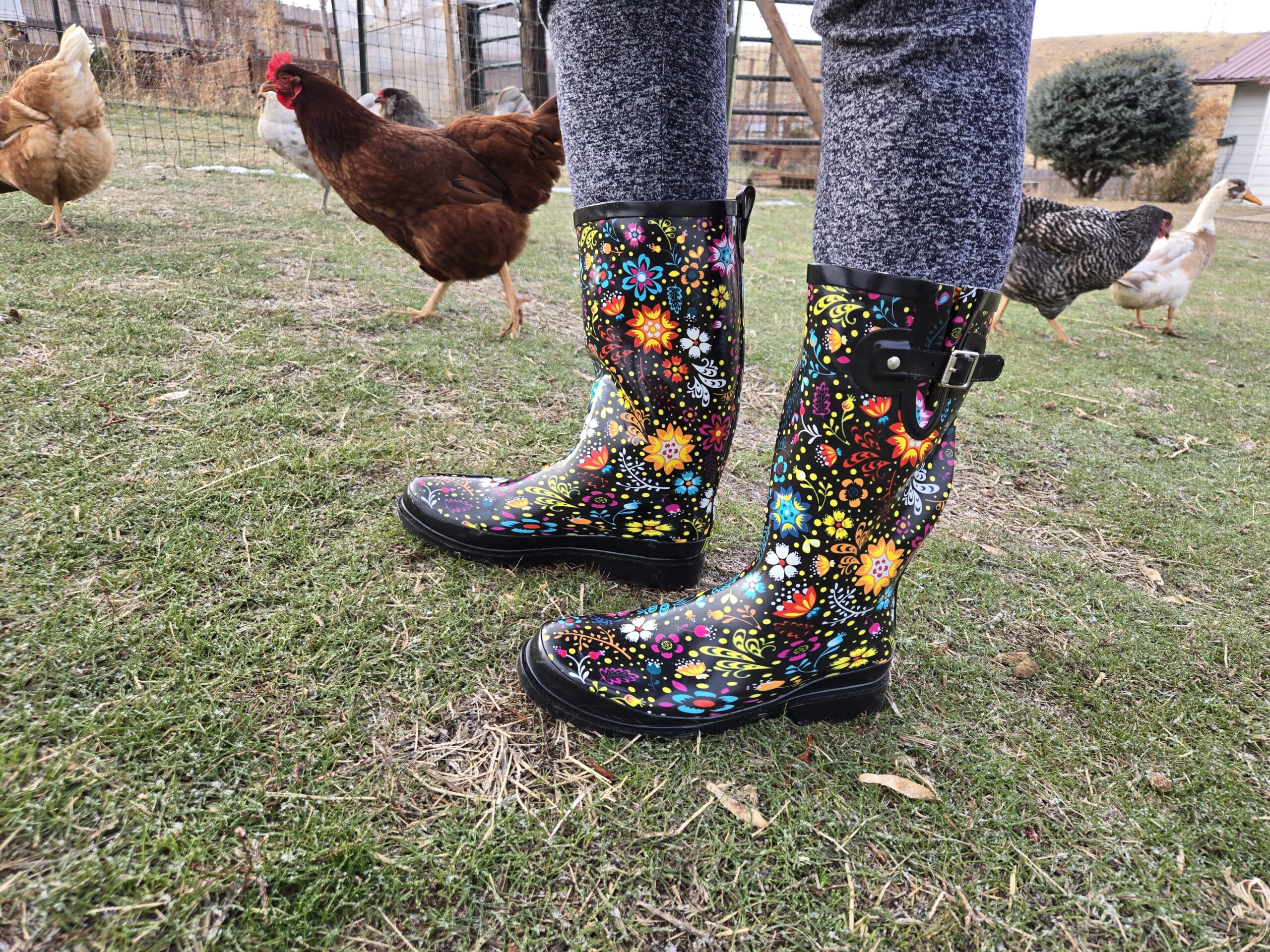Someone in colorful rainboots stands amongst chickens.
