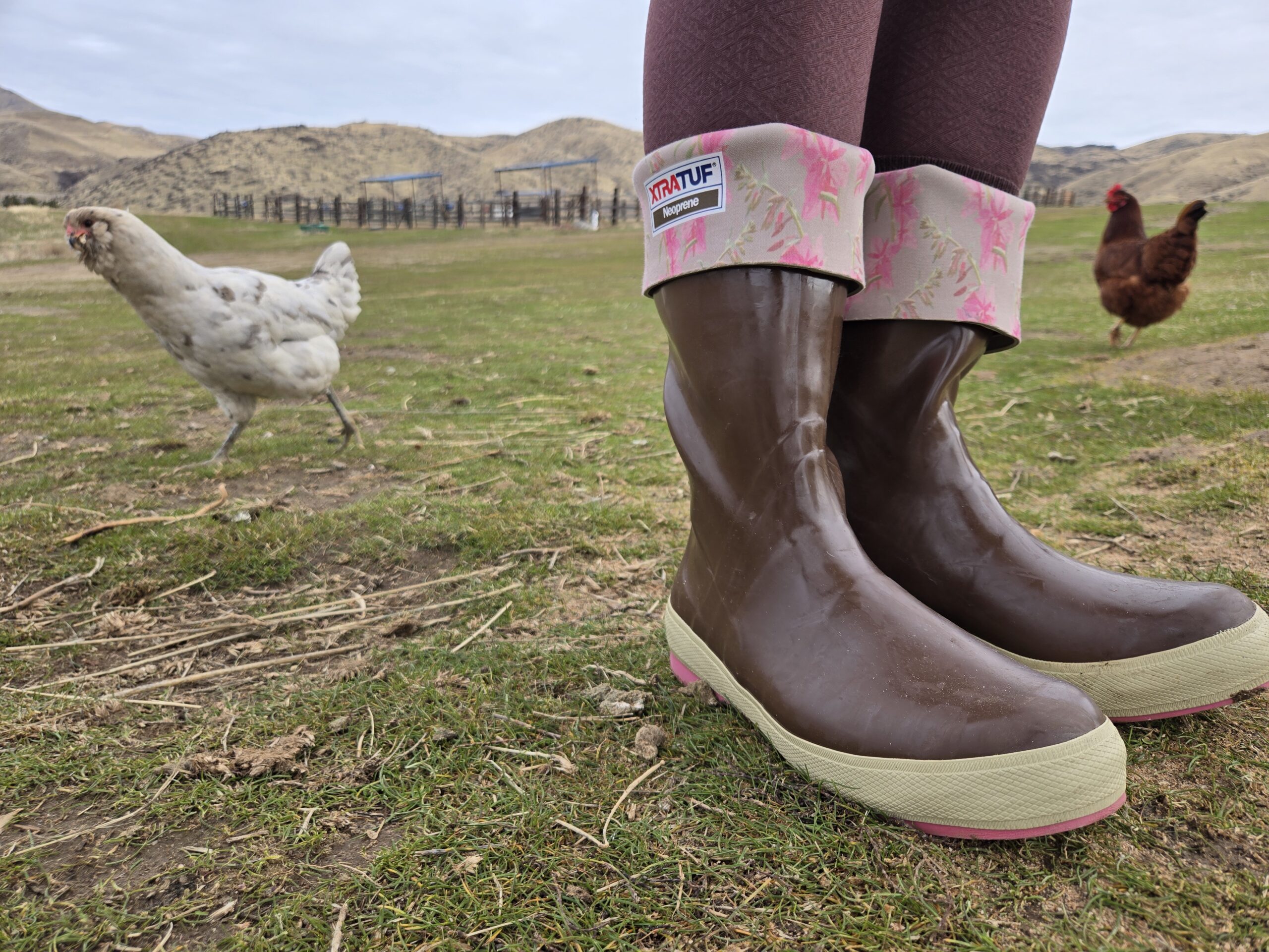 xtratuf rain boots next to two chickens in a field