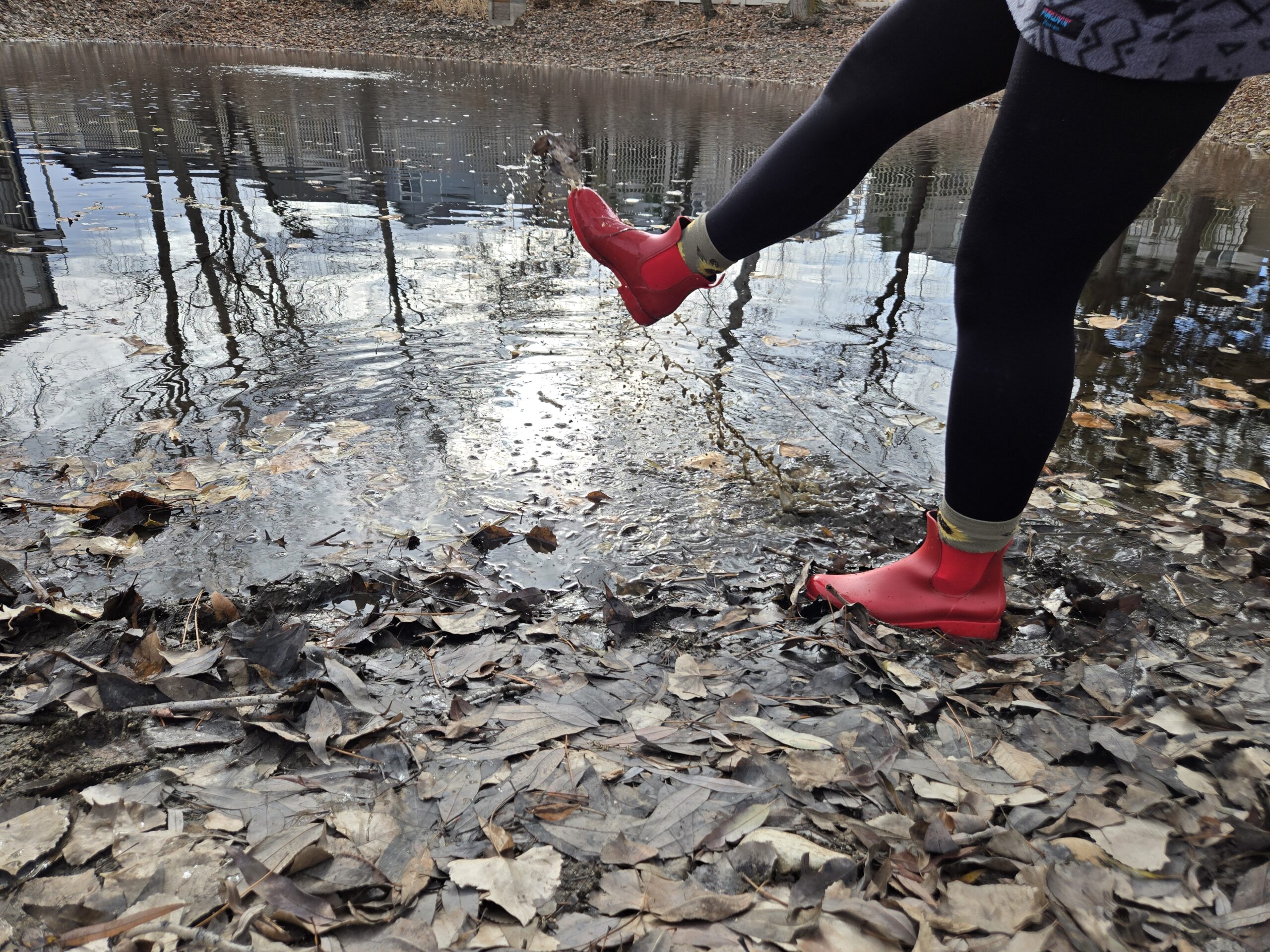 one foot in the air about to step into a pond