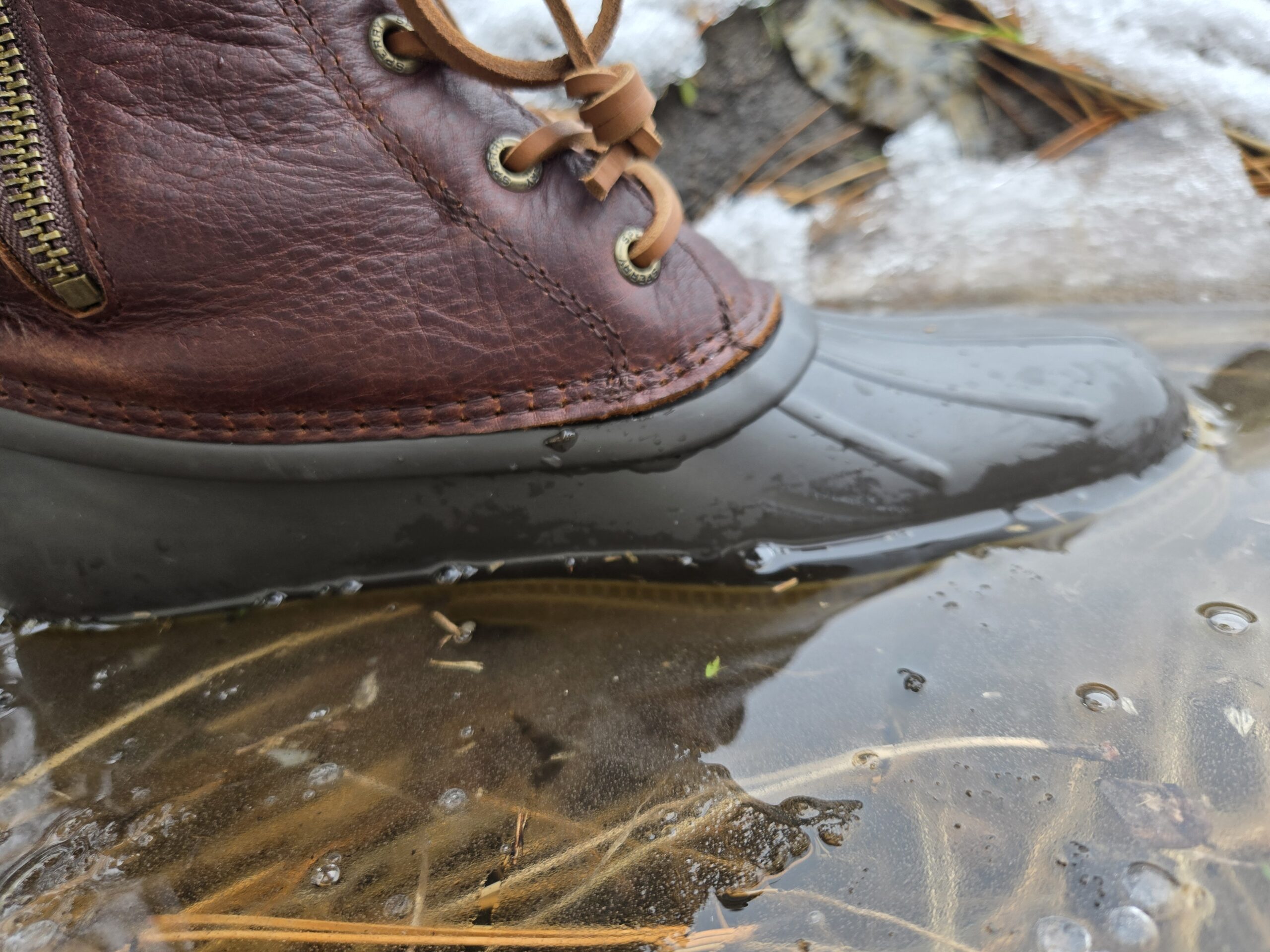 a sperry saltwater boot in a grassy puddle