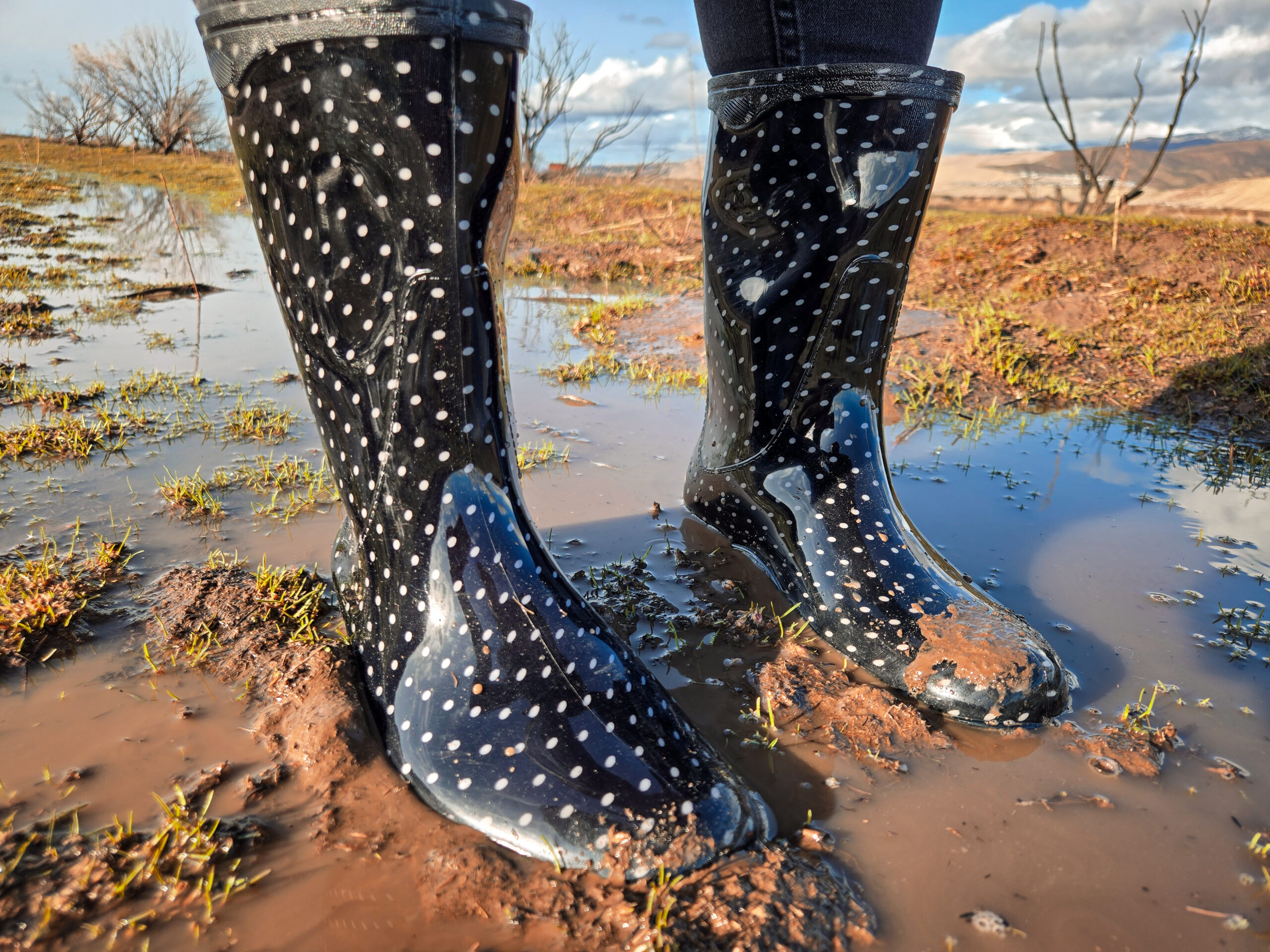 Sloggers Rain and Backyard Ladies’s Rain Boot Overview