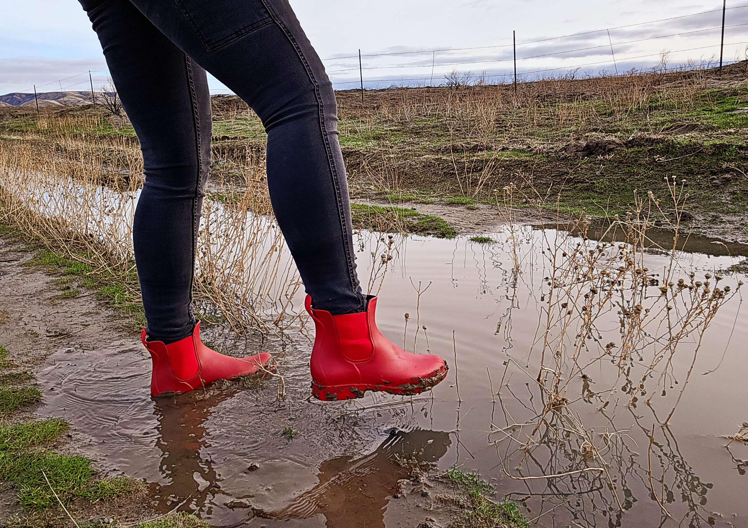 Asgard Chelsea - mud/splash