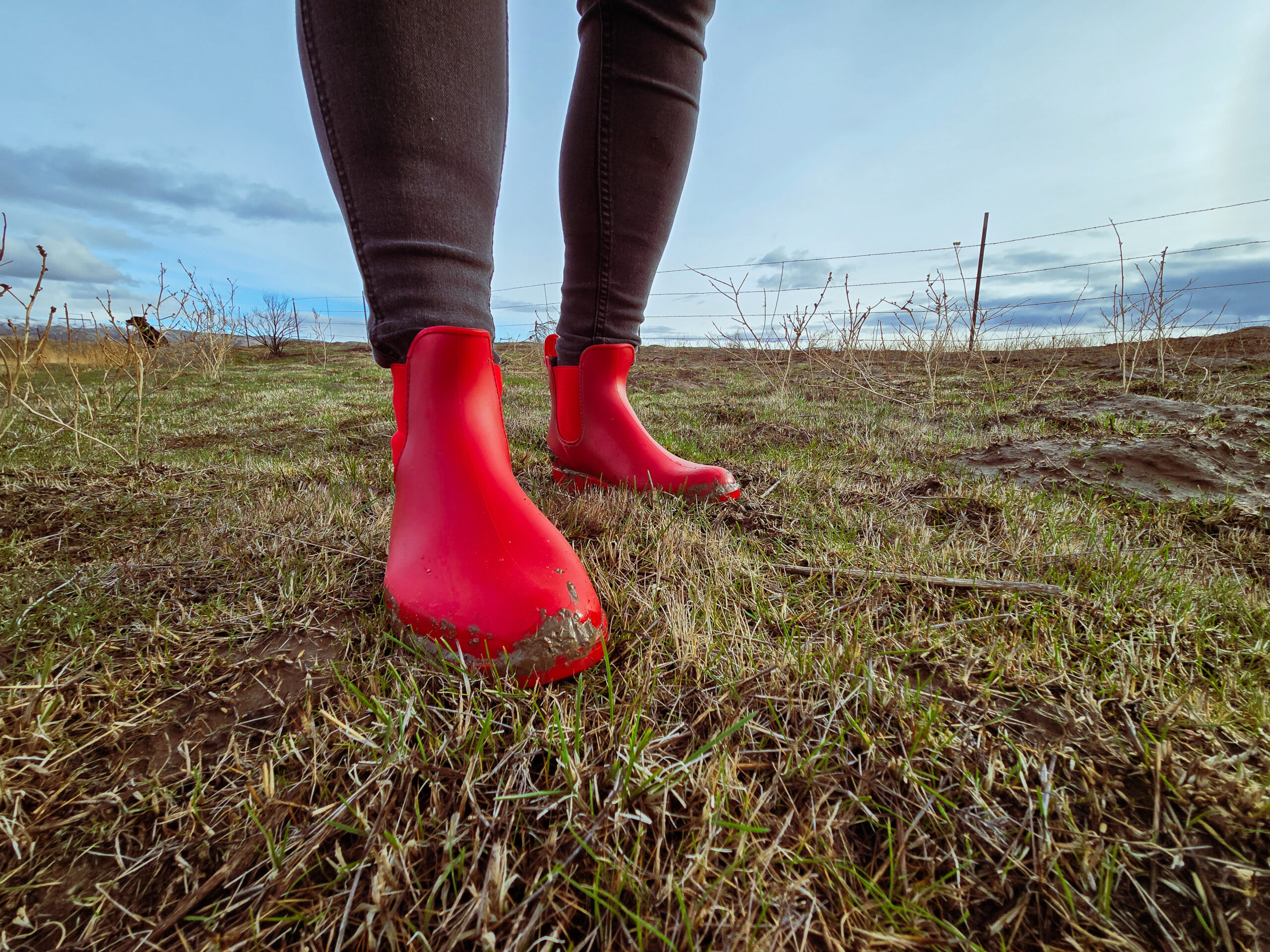 woman standing on grass in a field on a ranch