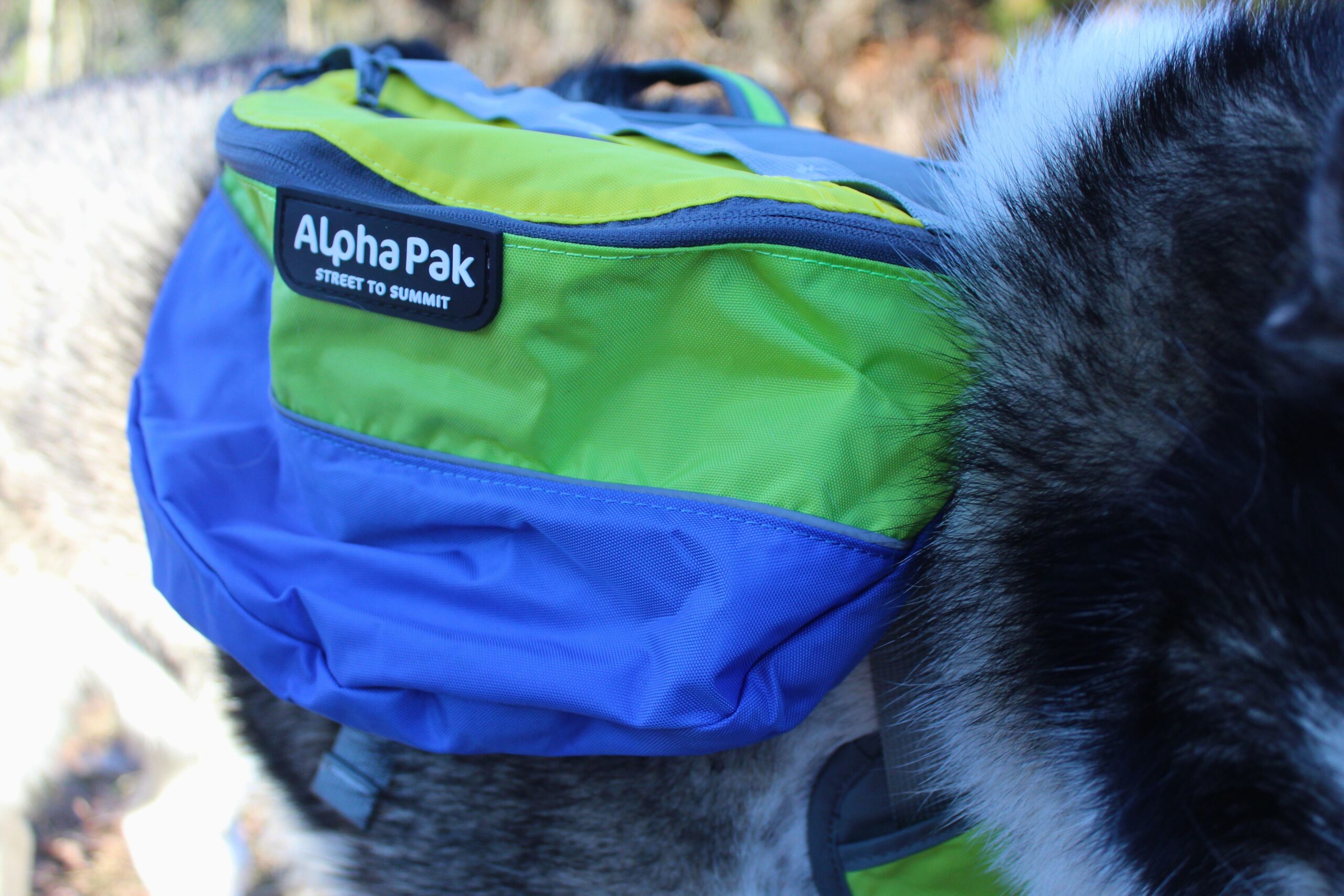 Showing the side of the AlphaPak Adventurer backpack
