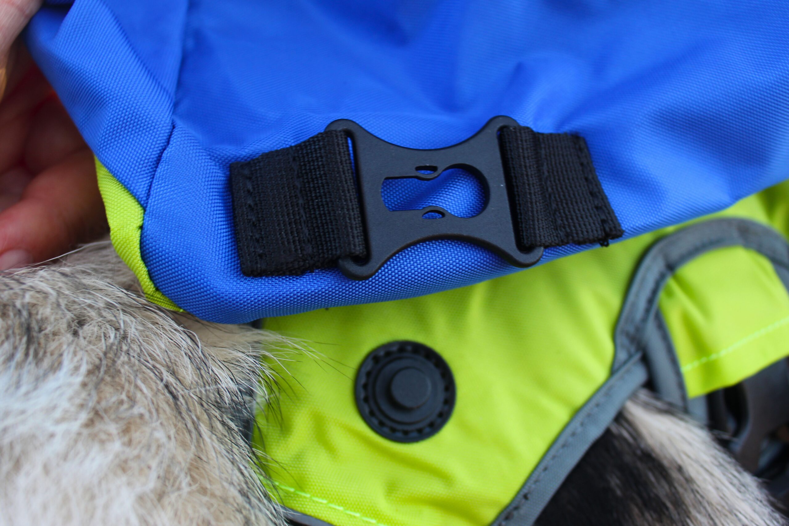 Close up of the attachment points for the harness and saddlebags on the AlphaPak Adventurer