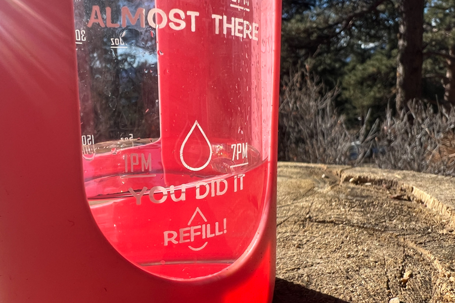A close up photo of the side of the Aqualea Glass Water Bottle. The image shows the pink silicone sleeve and the time markings as well as motivational messages printed on the bottle.