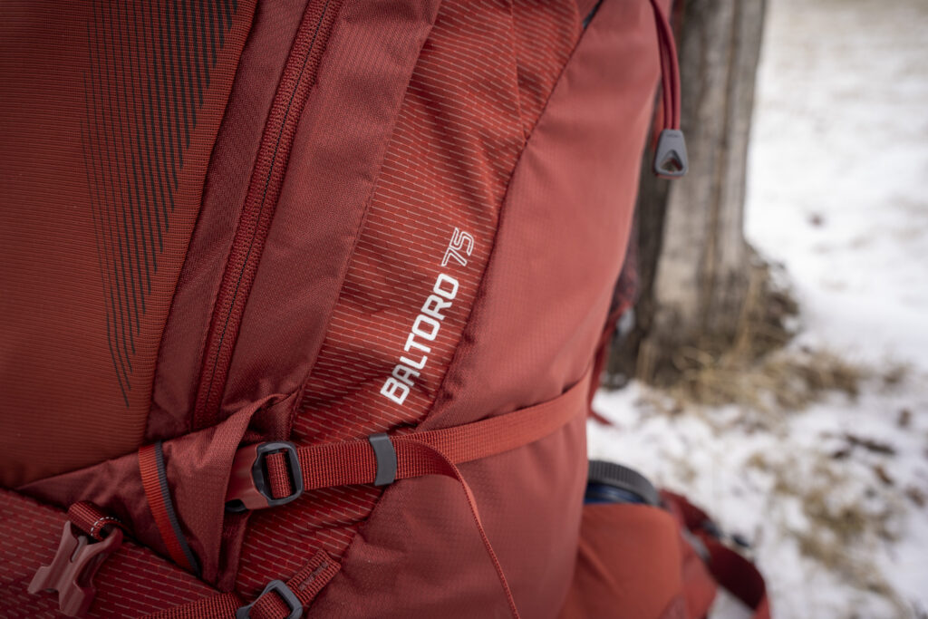 side view of a red backpack