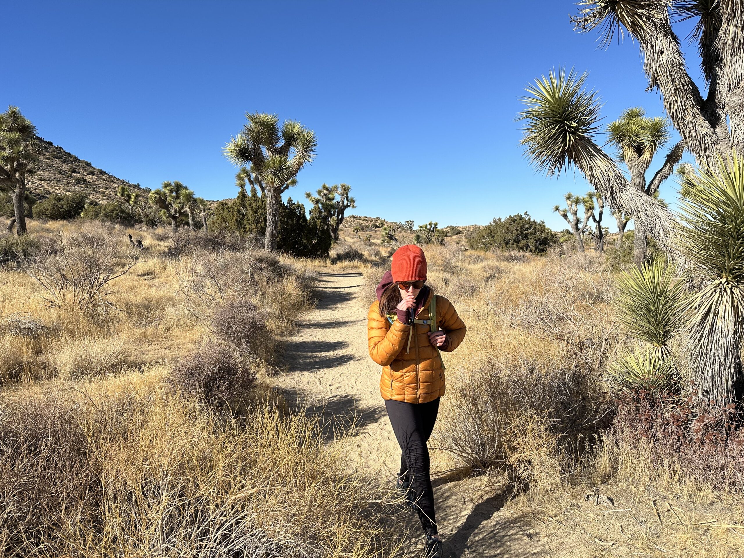A hiker drinks from the Platypus Hoser while hiking on a trail in the desert with Joshua Trees in the background.