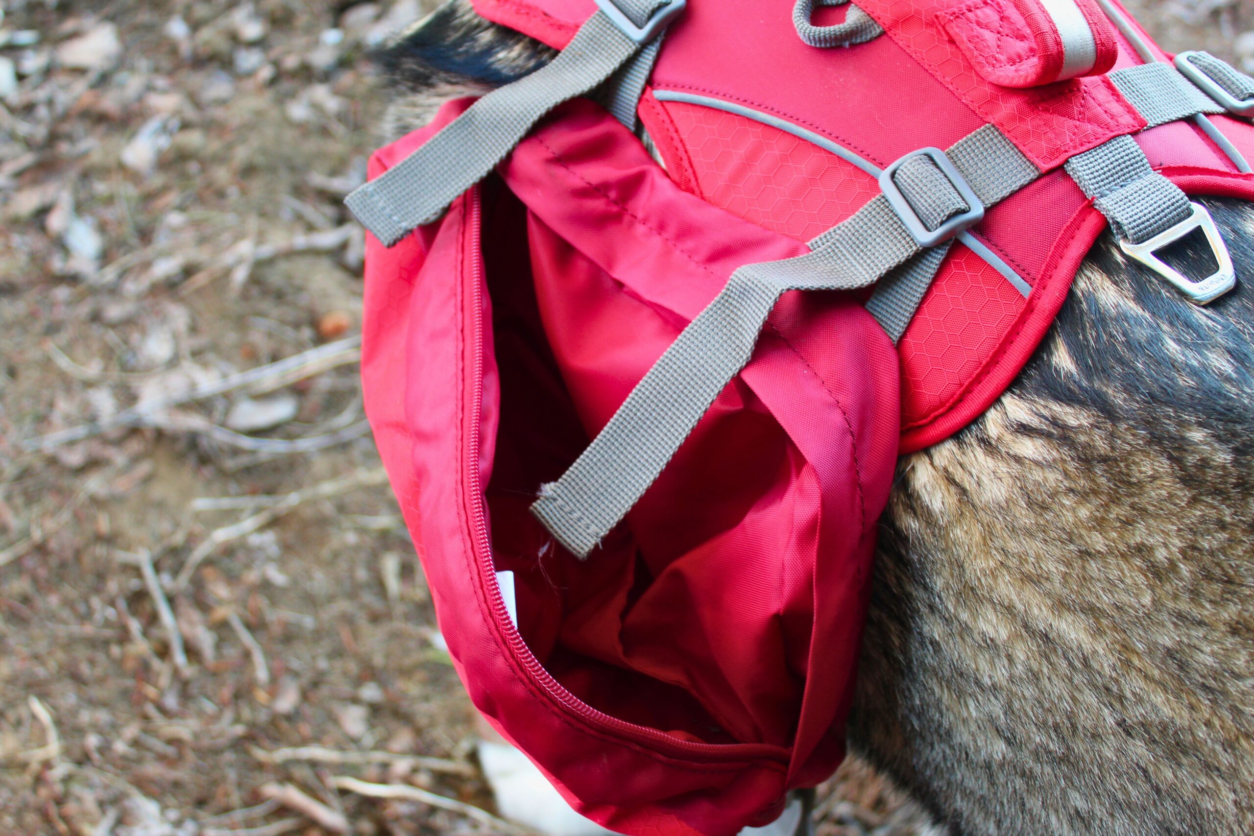 Main compartment of the saddlebag on one side of the Kurgo Baxter backpack