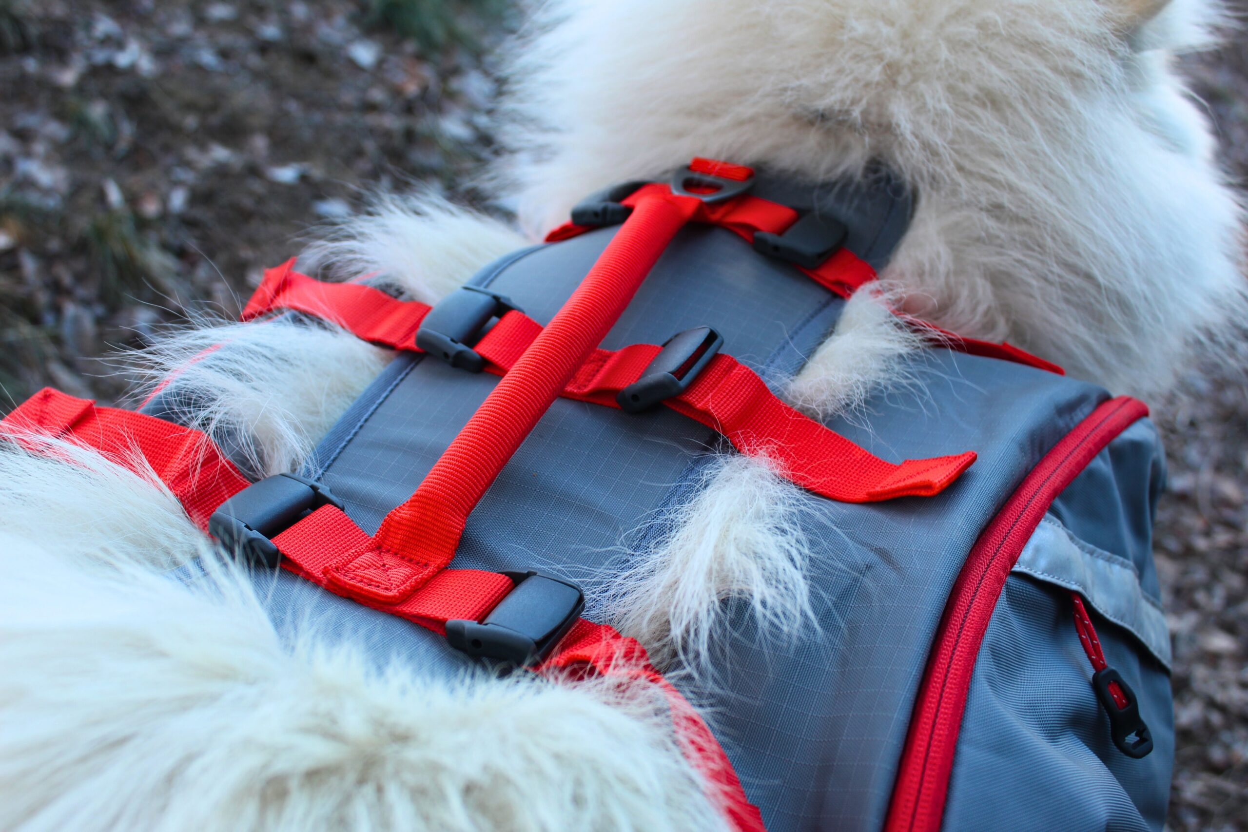 The top back of the Mountainsmith K9 Dog Backpack showing the six adjustment points