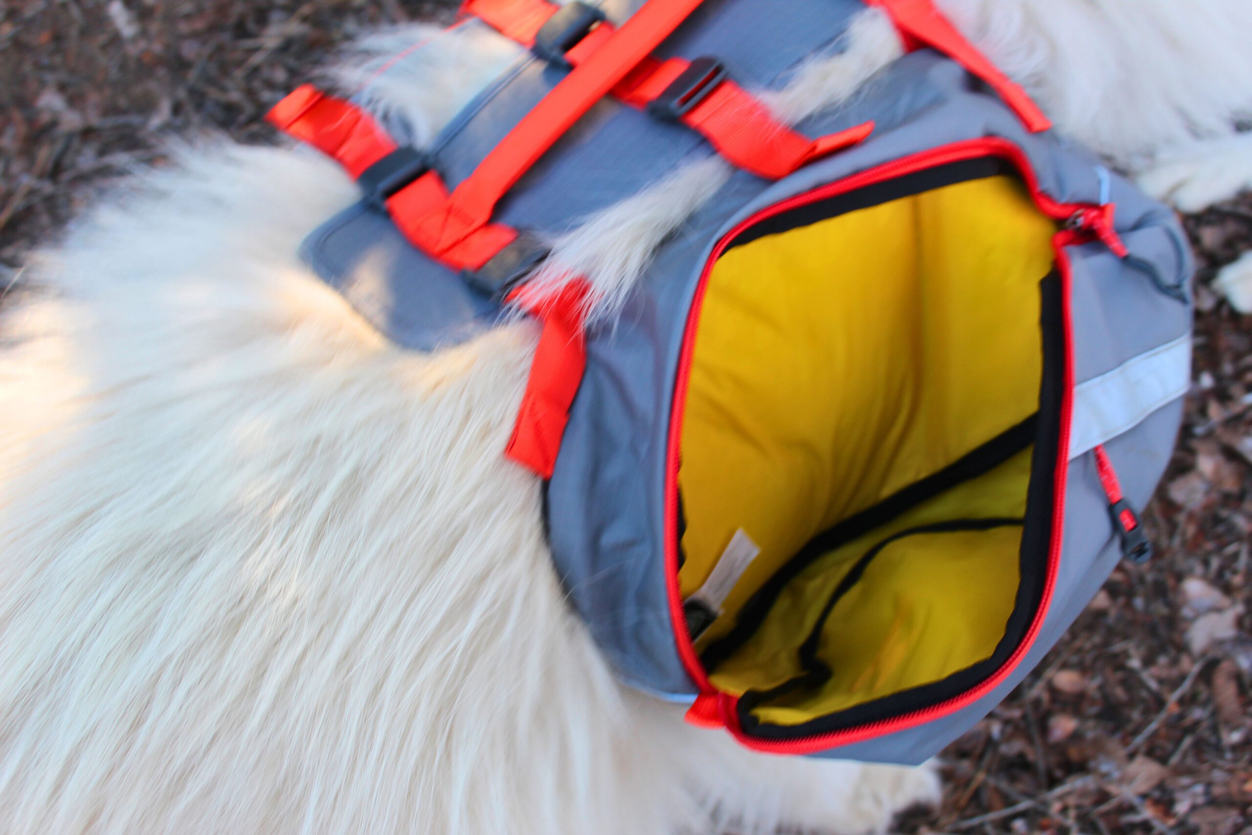 The inside of an open siaddlebag on the Mountainsmith K9 Dog Backpack