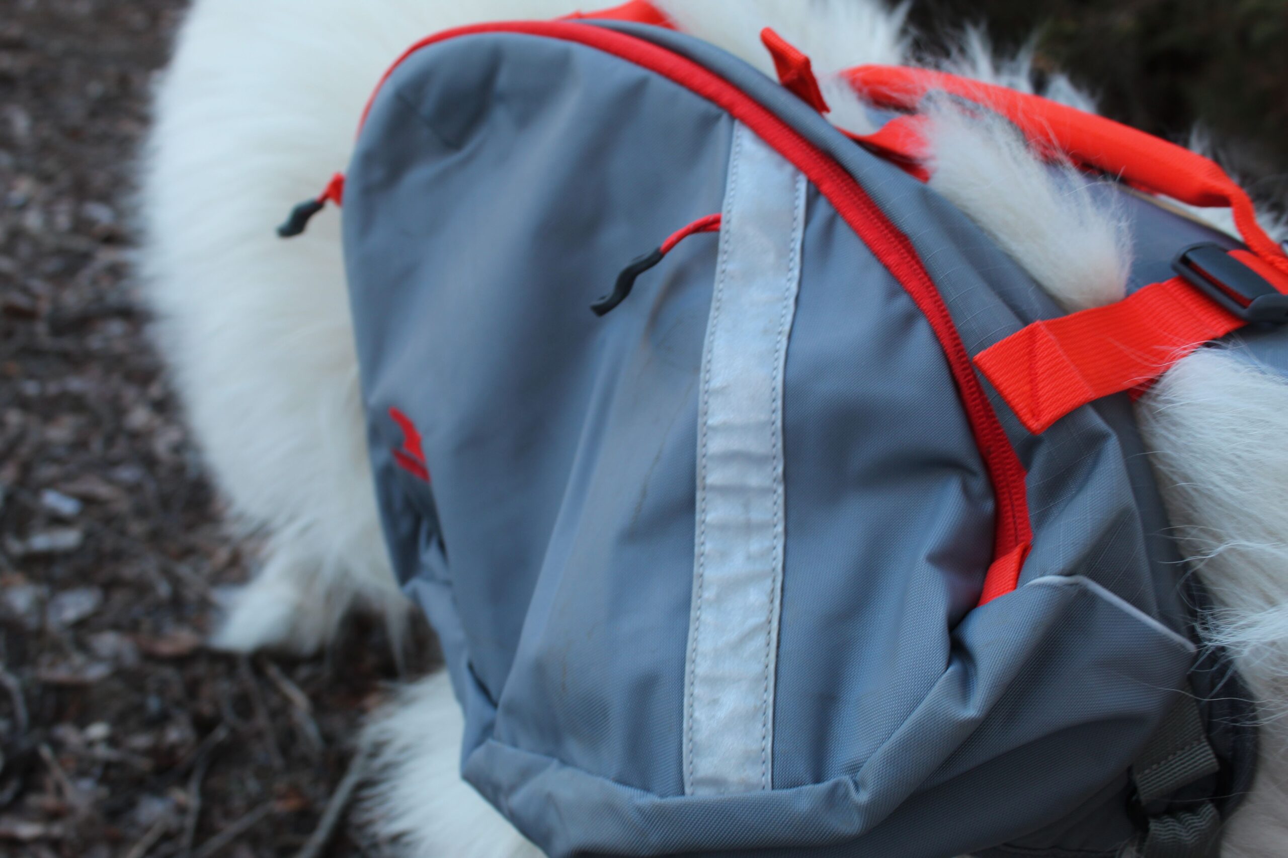 The outside of the Mountainsmith K9 Dog Backpack saddlebag showing the zippers and reflective strip