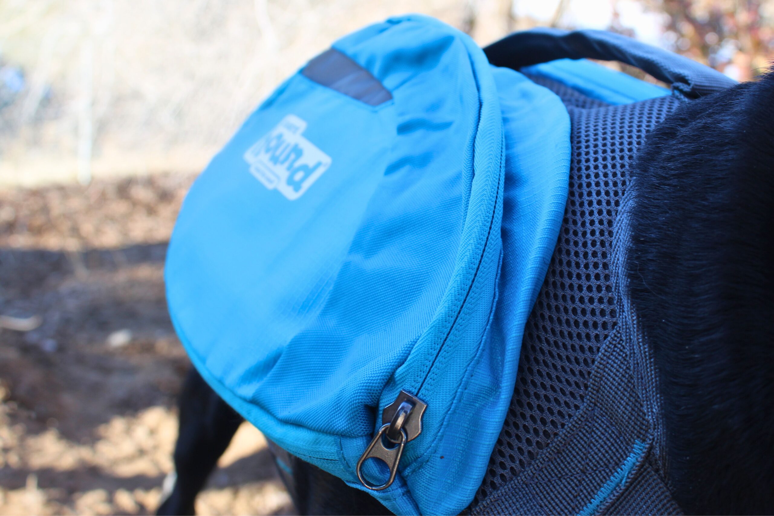 Close up of the side of the Outward Hound DayPak showing the front zipper and mesh harness