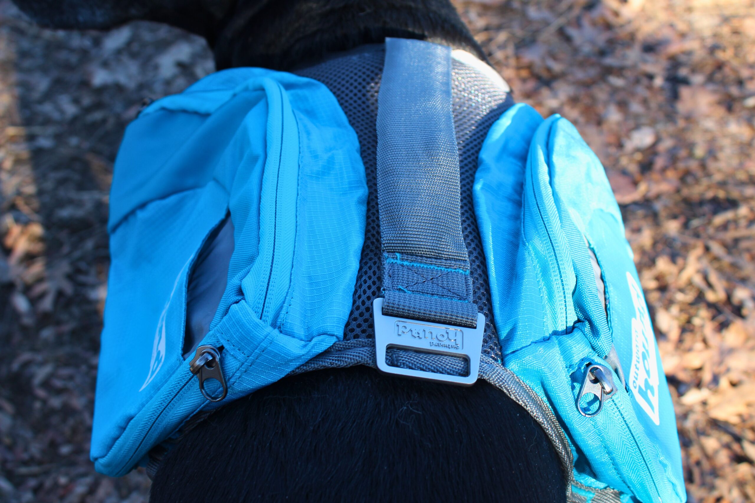 The top of the Outward Hound DayPak showing the handle, zippers, and d-ring