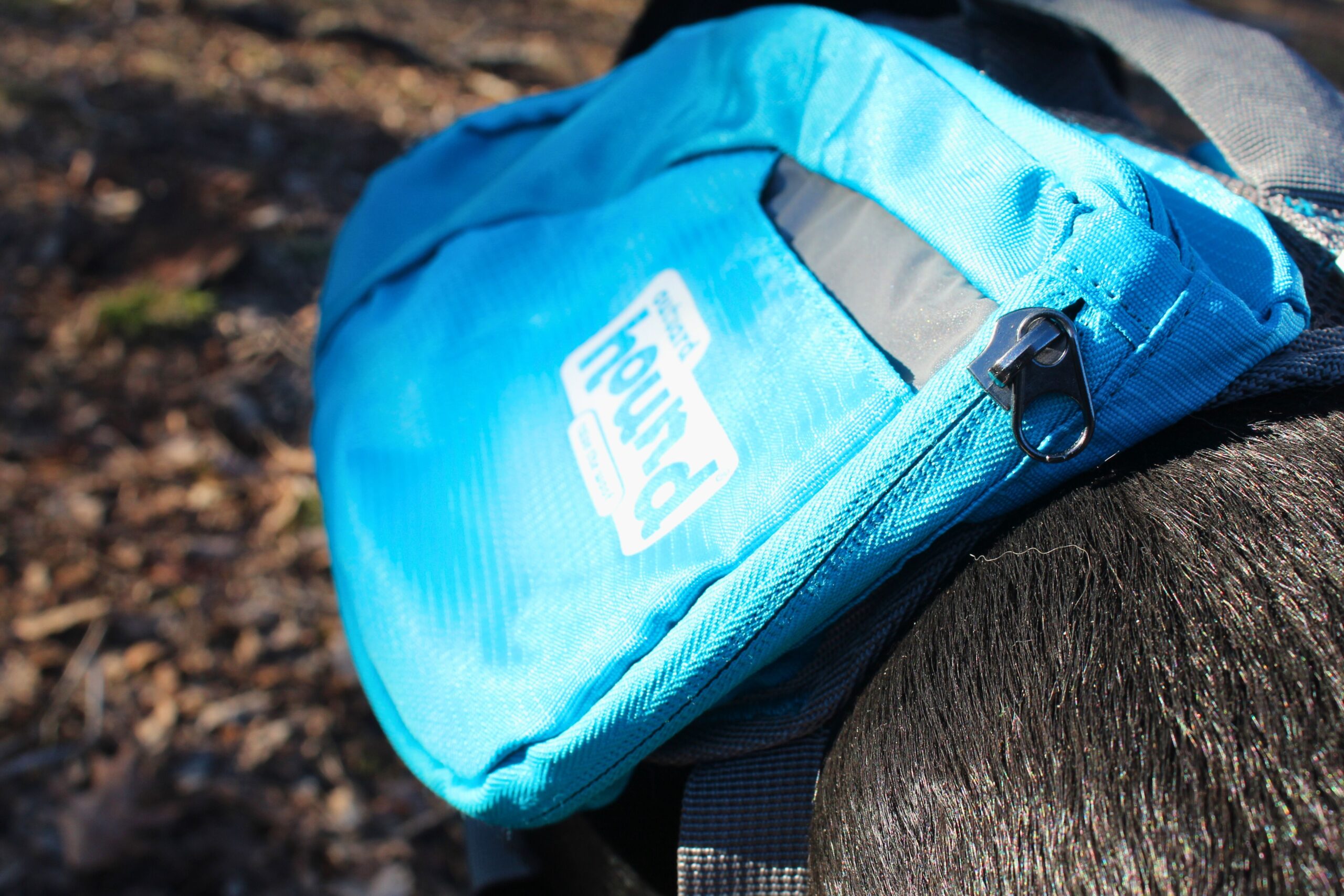 Close up of the outer zipper on one of the saddlebags of the Outward Hound DayPak