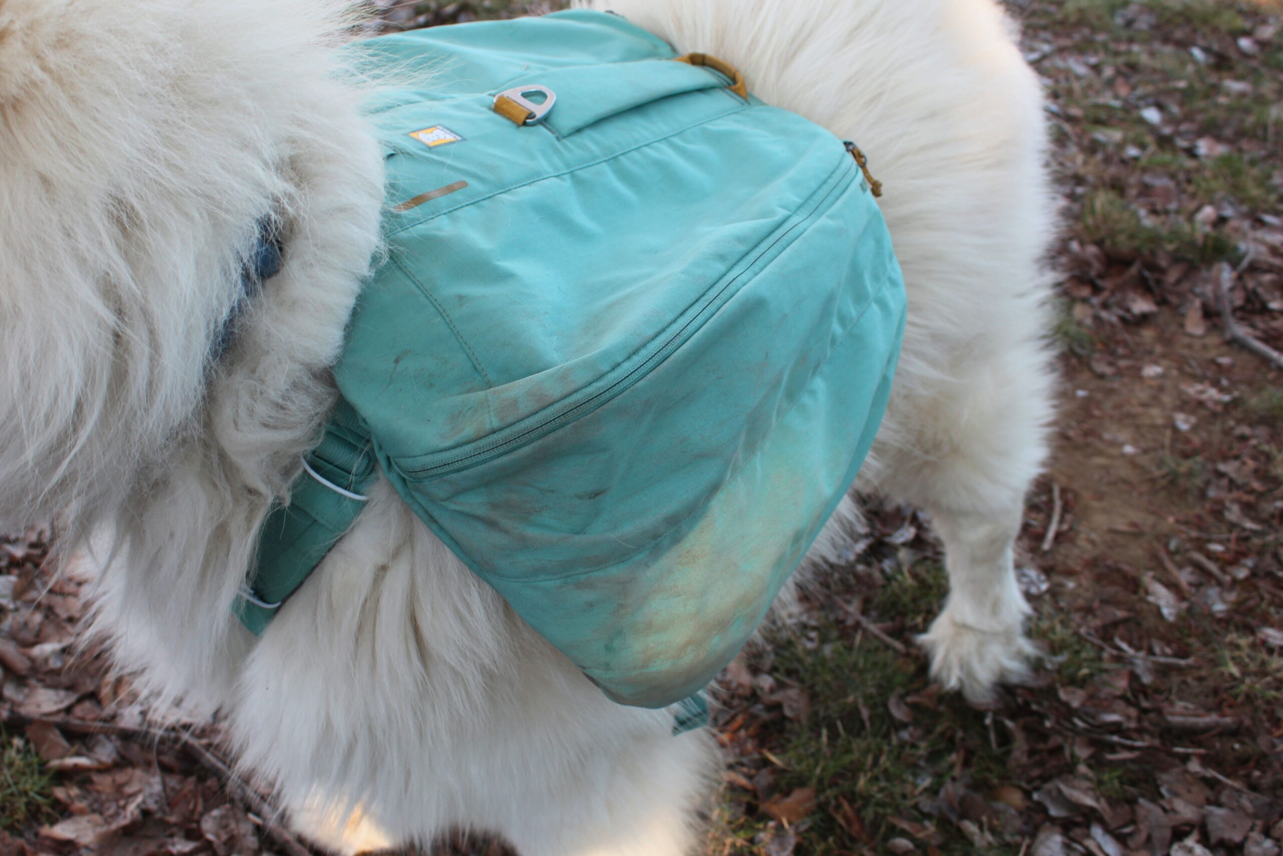 Close up of the side of the Ruffwear Front Range Day Pack showing the saddlebag zipper