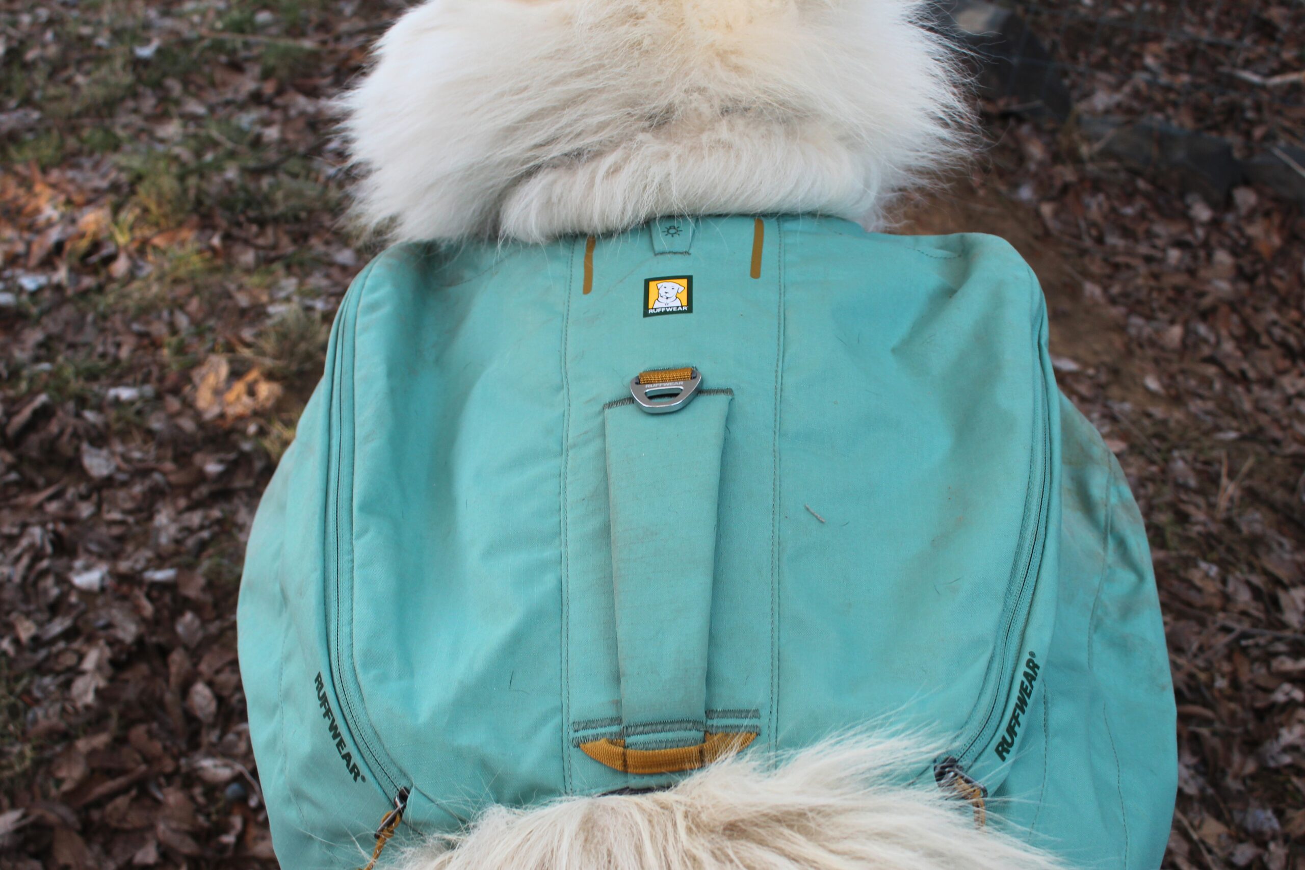 Top view of the Ruffwear Front Range Day Pack showing the handle and d-ring