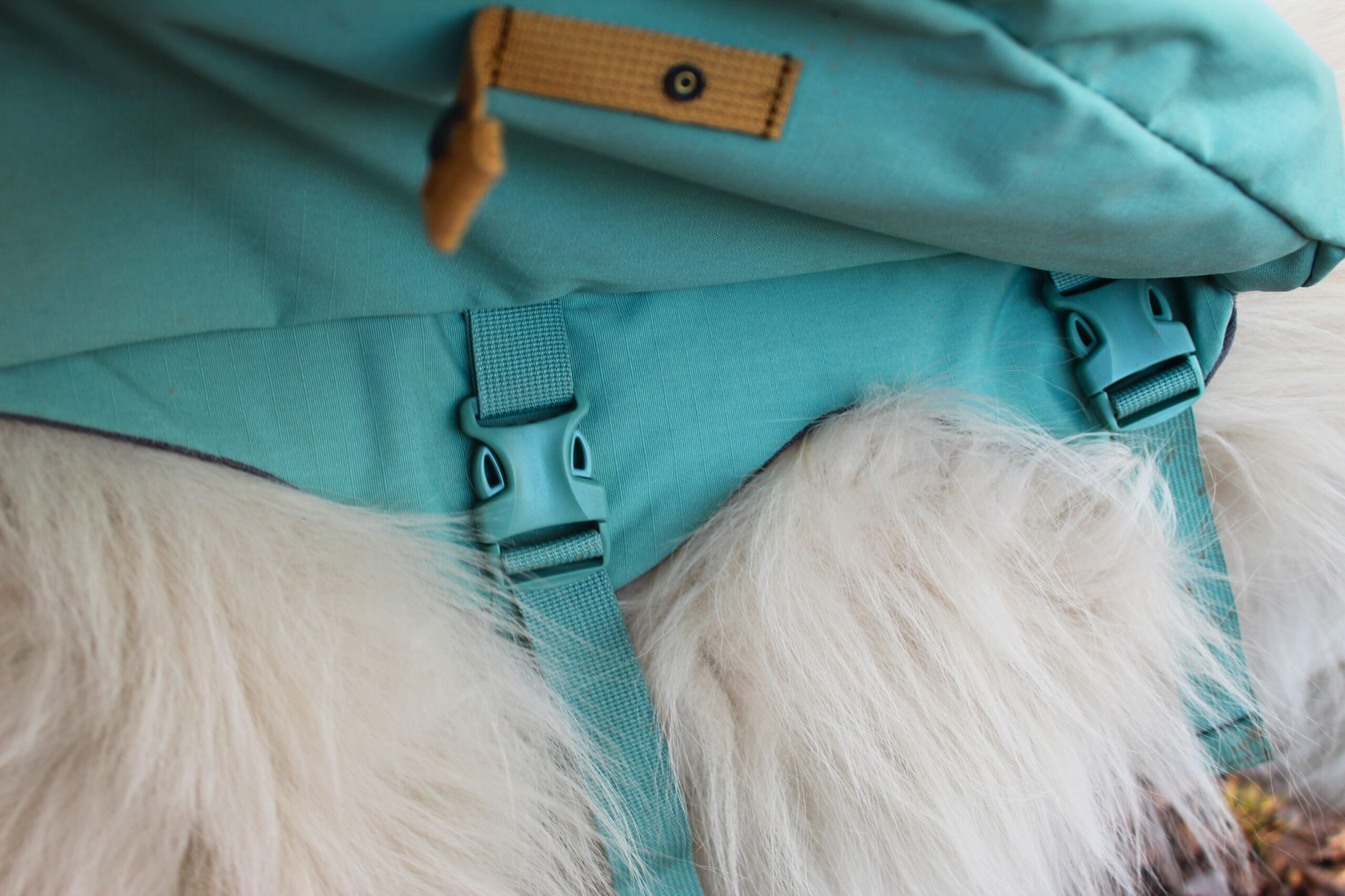 Under belly adjustment buckles on the Ruffwear Front Range Day Pack