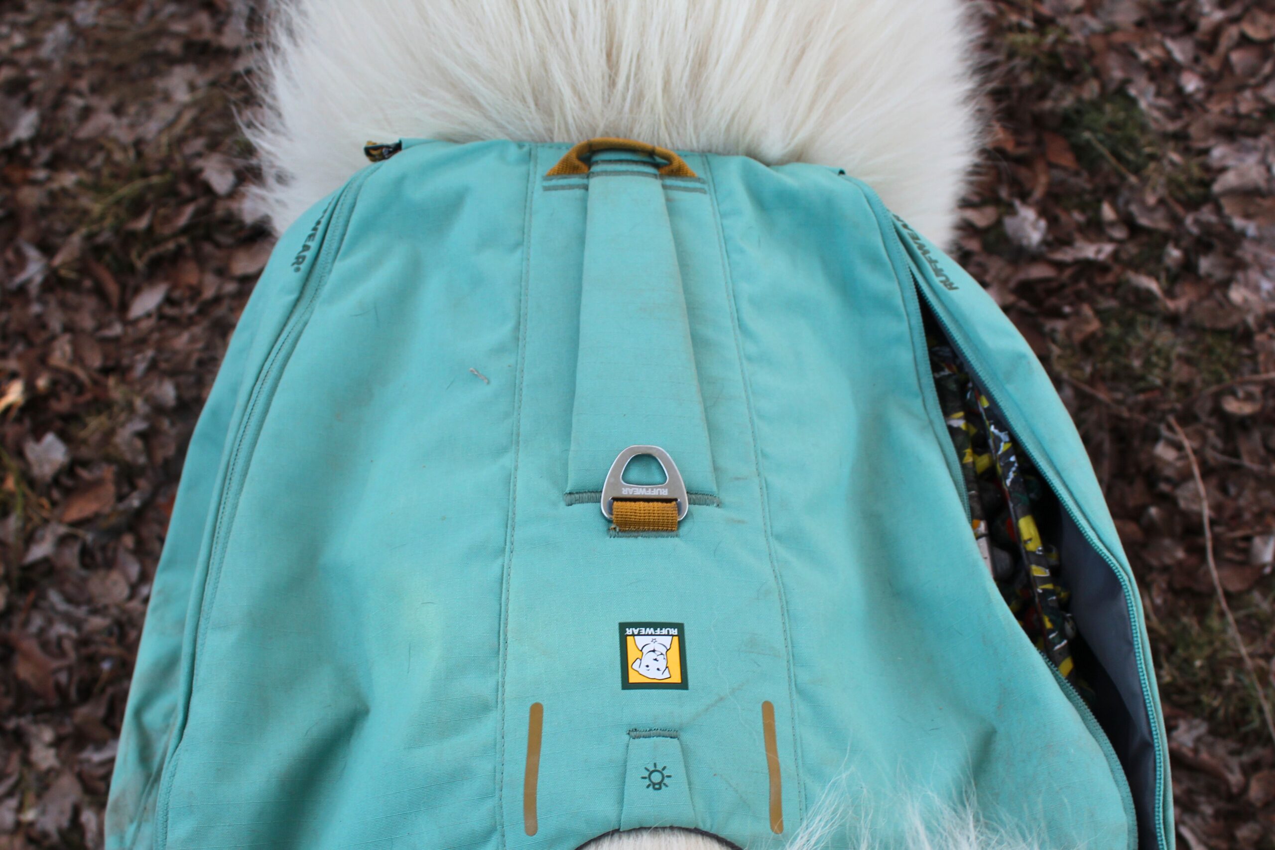 Top view of the Ruffwear Front Range Day Pack showing the handle and d-ring