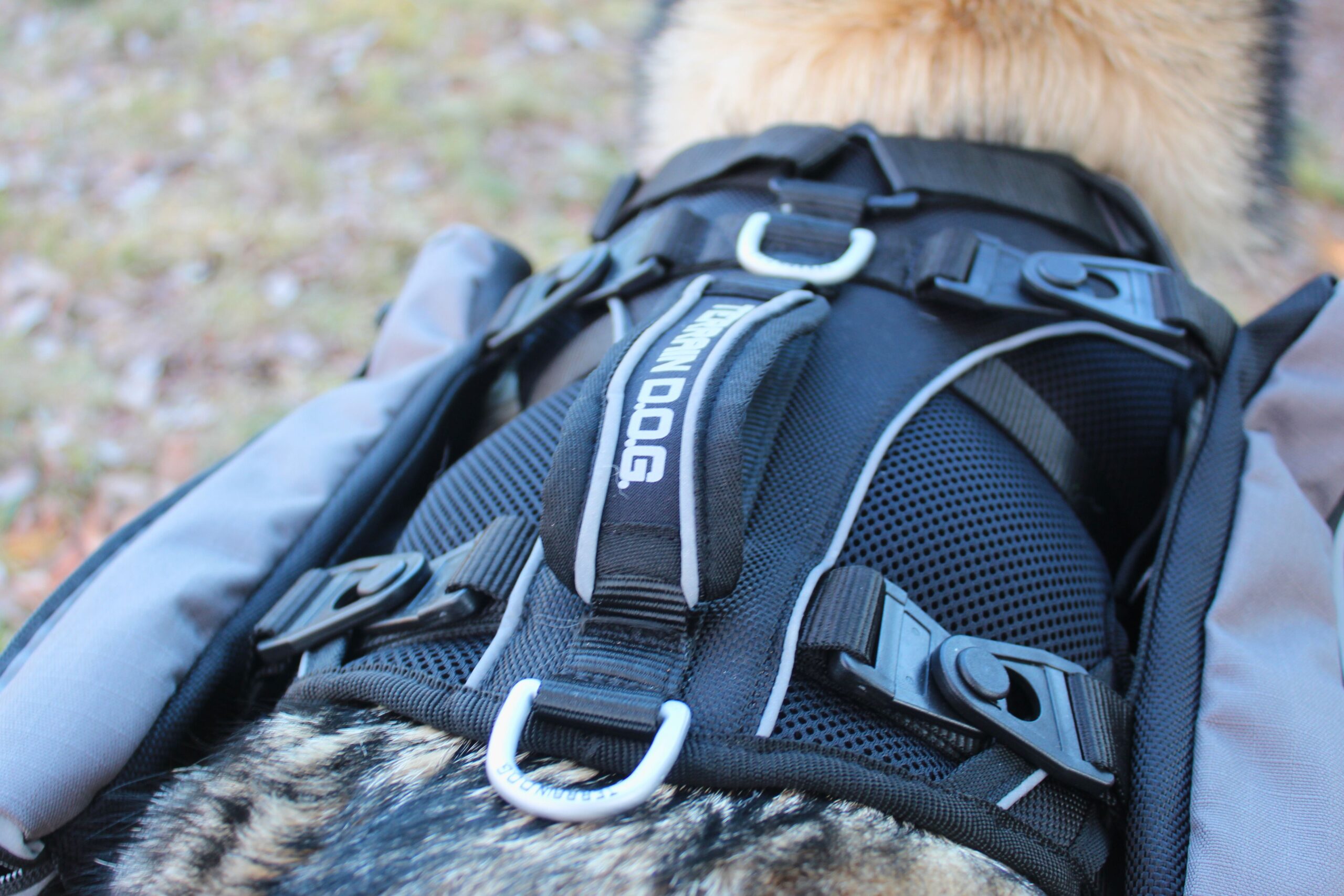 Close up of the handle and bottom d-ring on the Terrain Dog Lightweight Adventure Pack