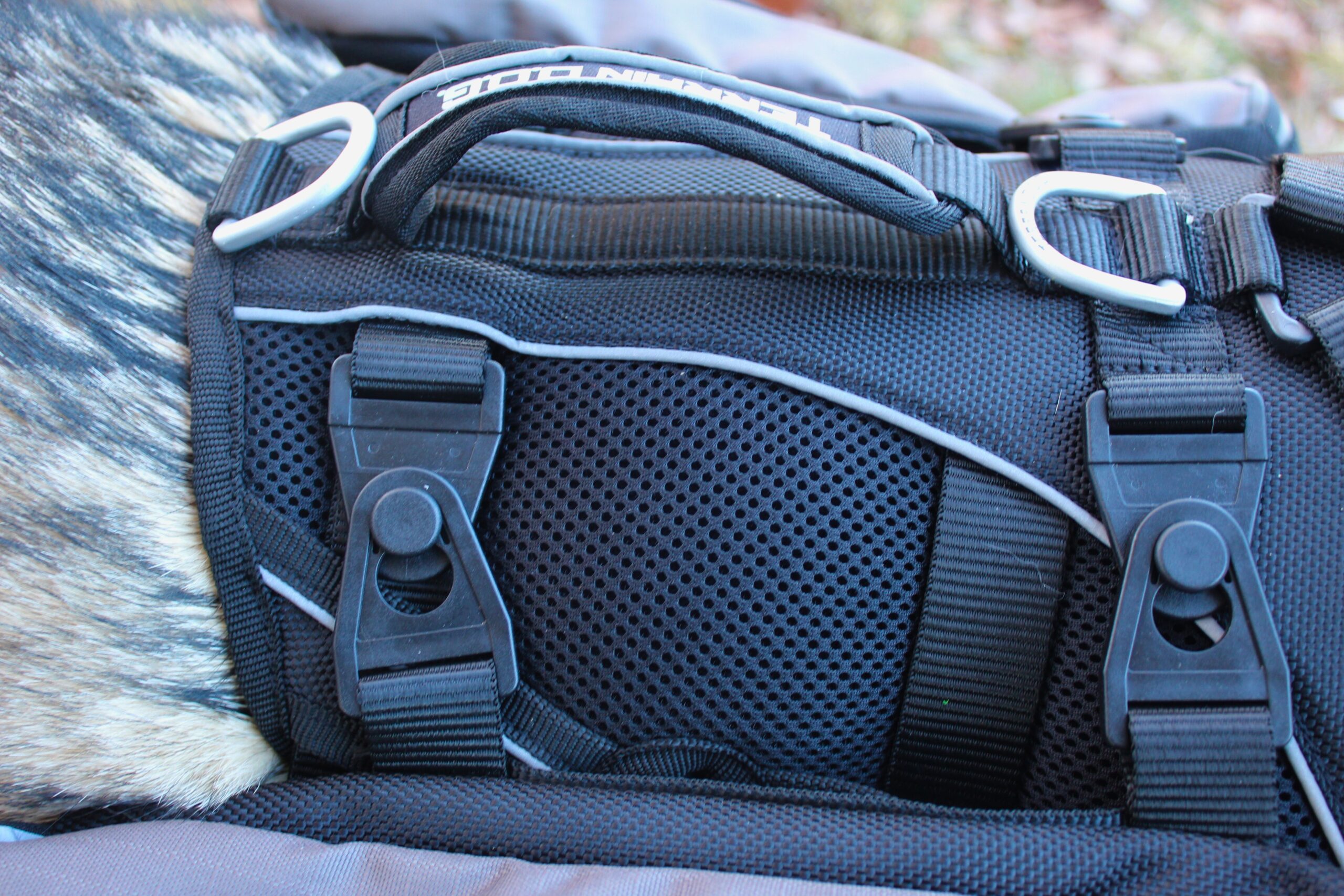 Close up of the attachment points for the harness and saddlebags on the Terrain Dog Lightweight Adventure Pack