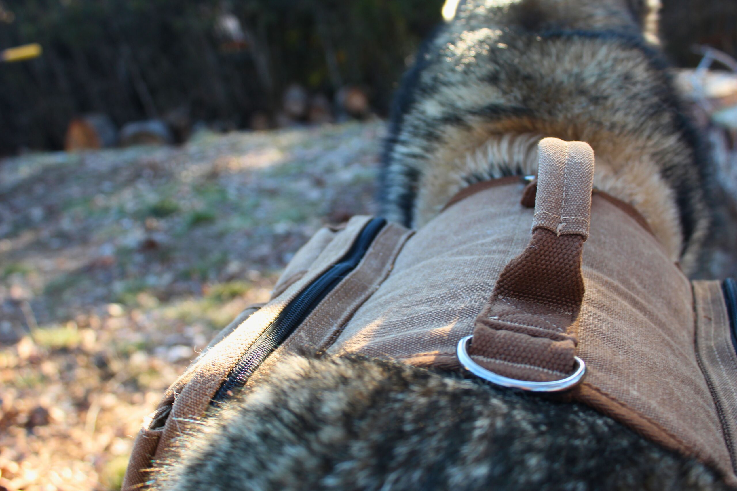 Close up of the handle on the back of the OneTigris Hoppy Camper 2.0 dog backpack