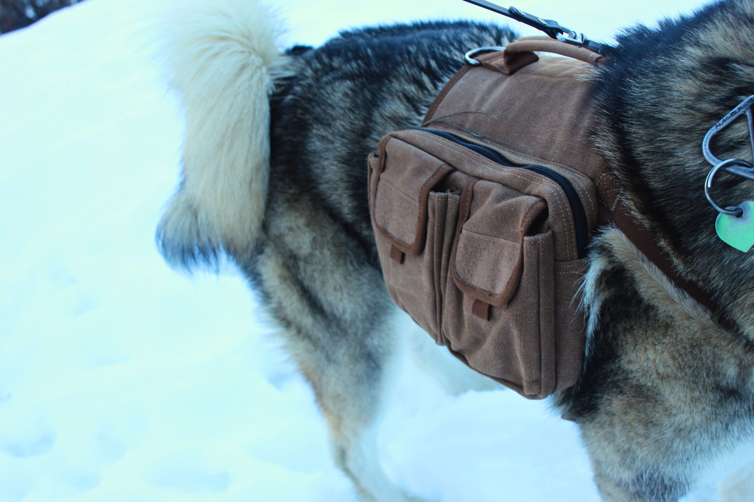 Close up of the side pockets on the OneTigris Hoppy Camper 2.0 dog backpack