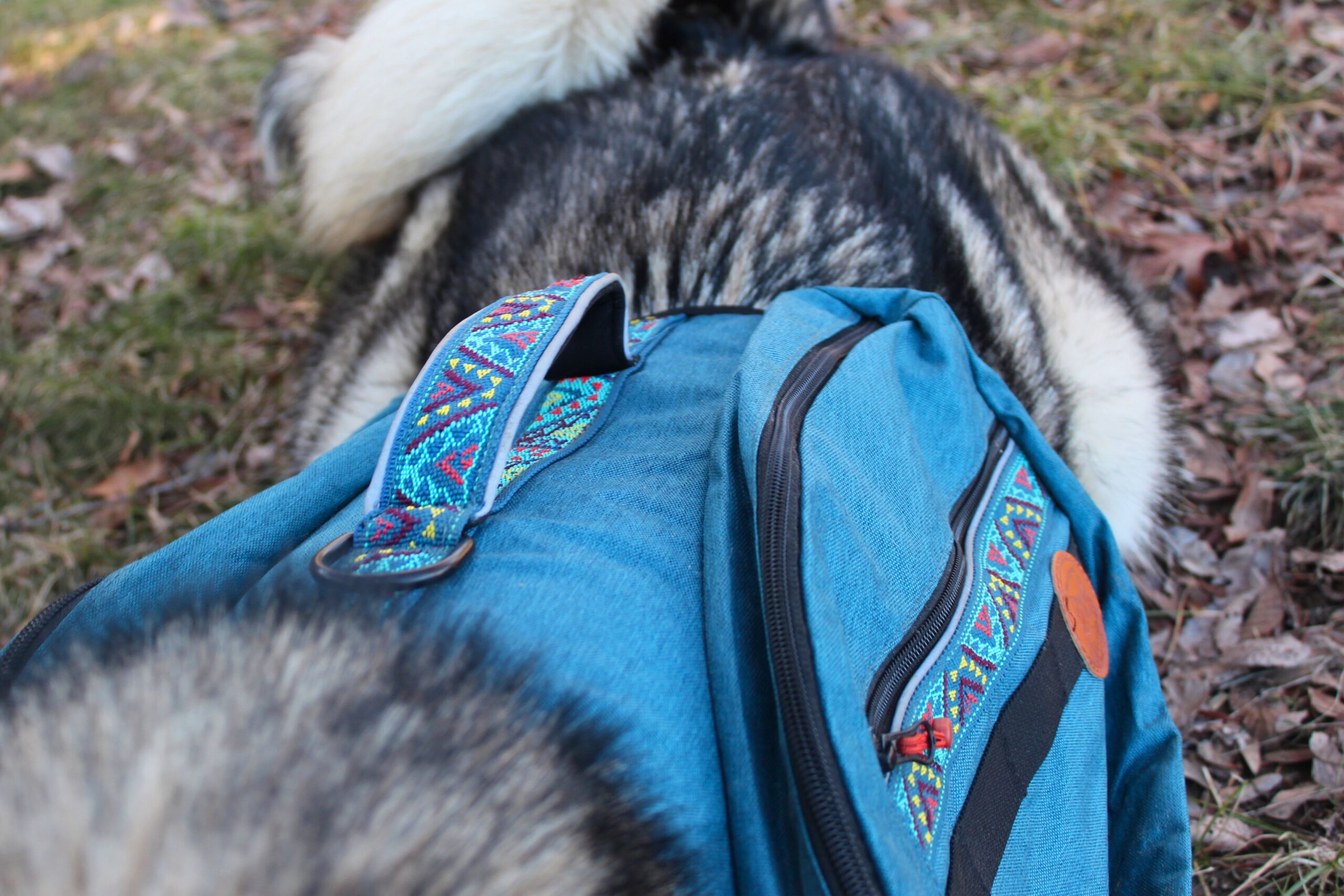 the strap on the top of the wilderdog pack