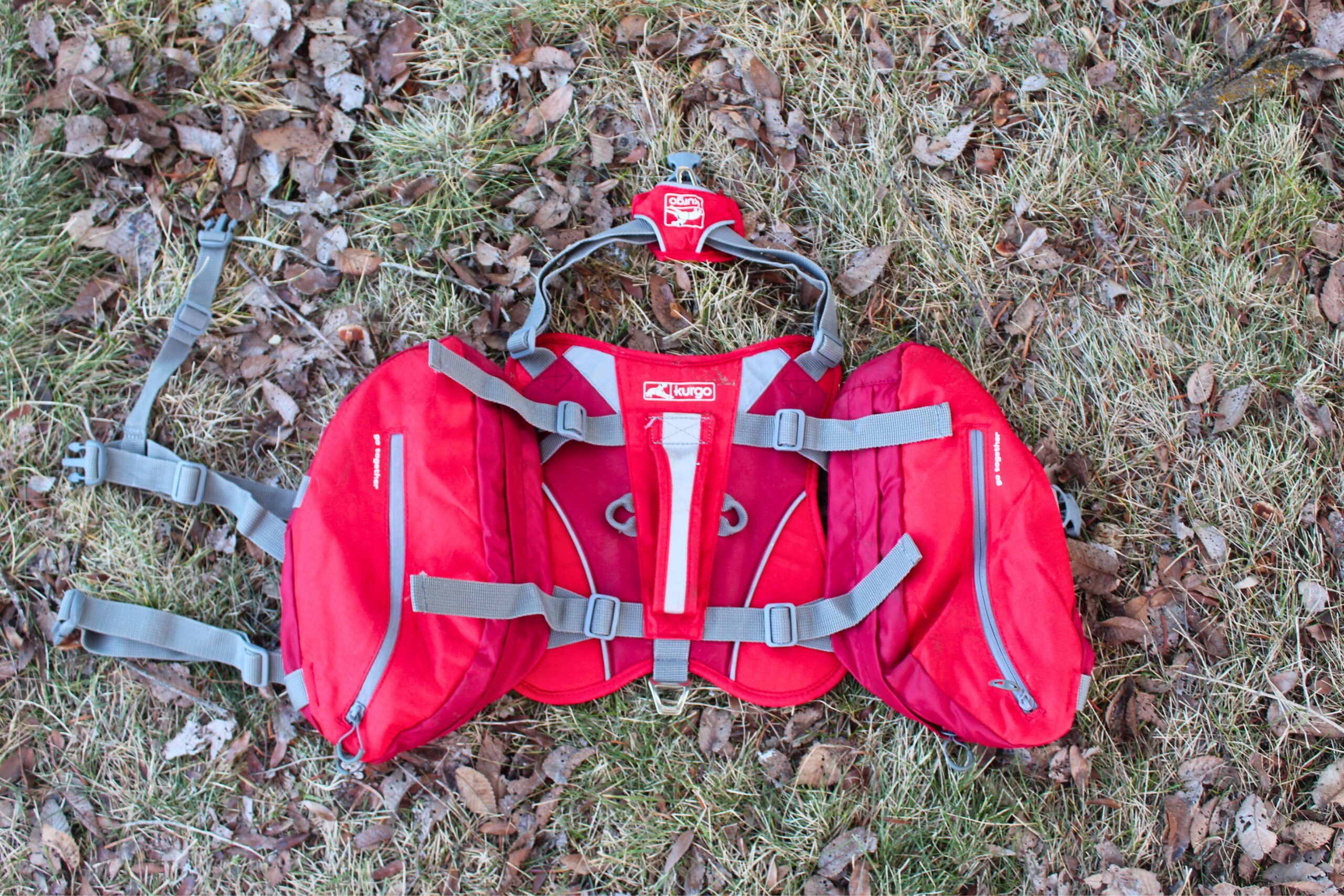 The Kurgo Baxter dog harness spread out on the ground