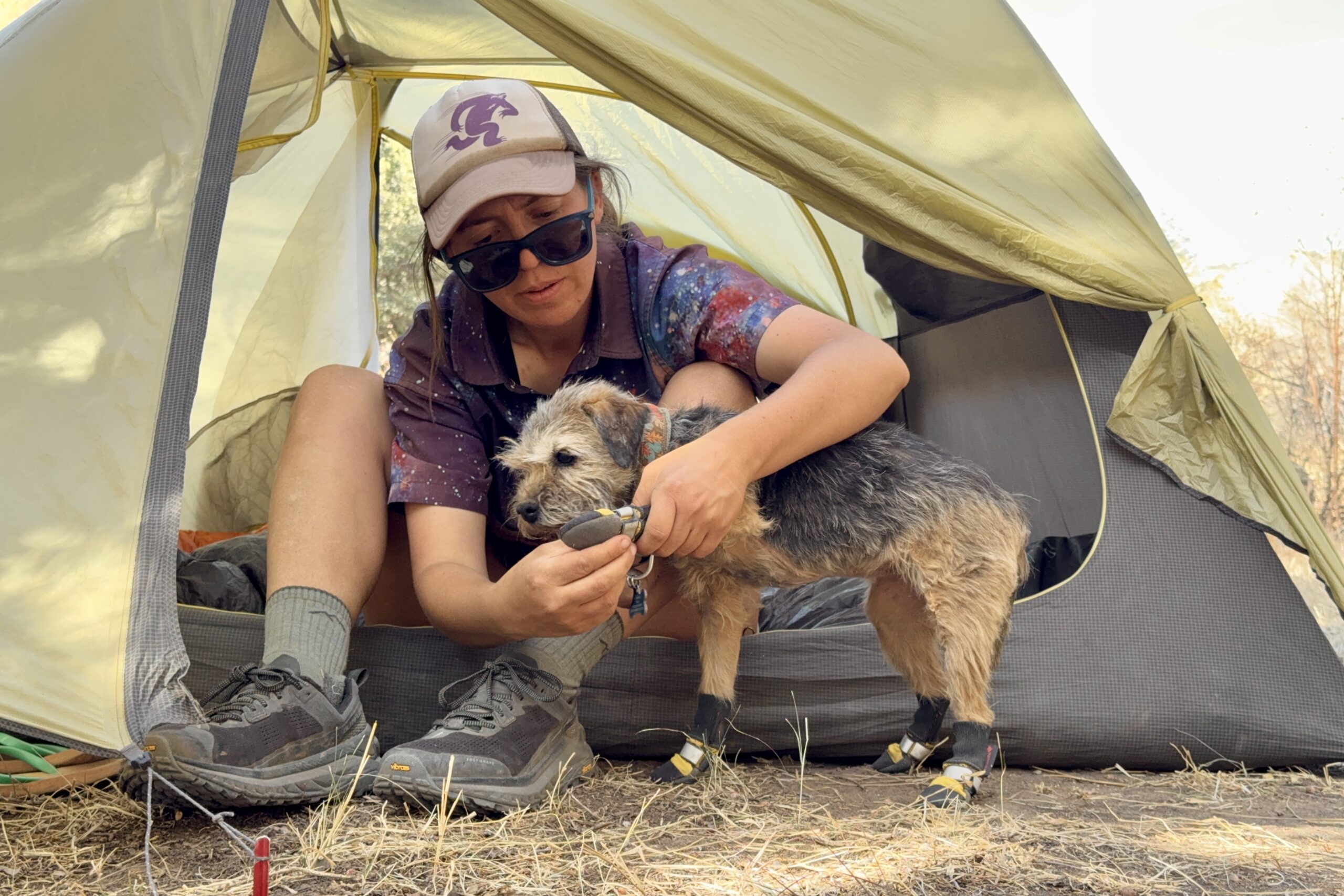 A person is sitting with a small dog in the vestibule of a tent. The person is taking the Muttluks boots off of the dog.