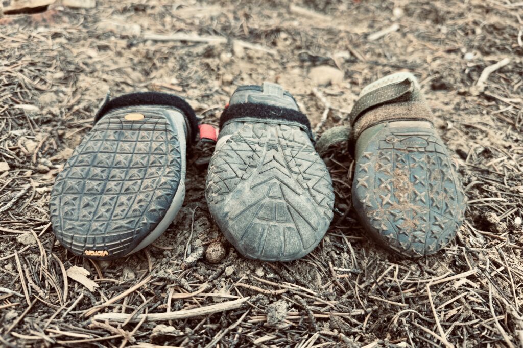 Three rubber soled boots are lined up side-by-side. on some pine needles.