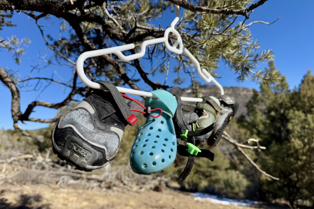 Several dog boots are attached to a clothes hanger by their velcro. The hanger is on a tree branch in the sunshine out in the woods.