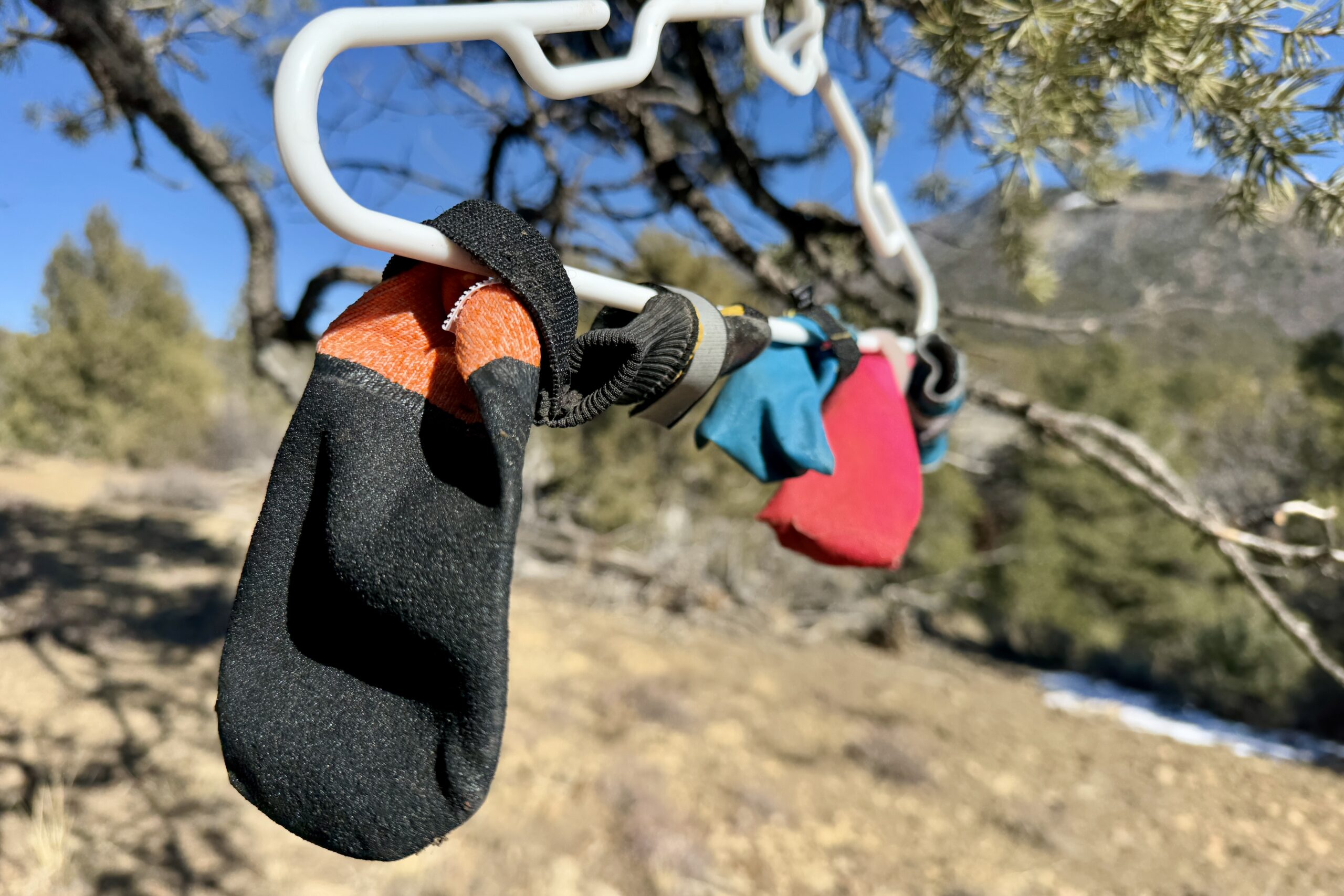 Several dog boots are attached to a clothes hanger by their velcro. The hanger is on a tree branch in the sunshine out in the woods.