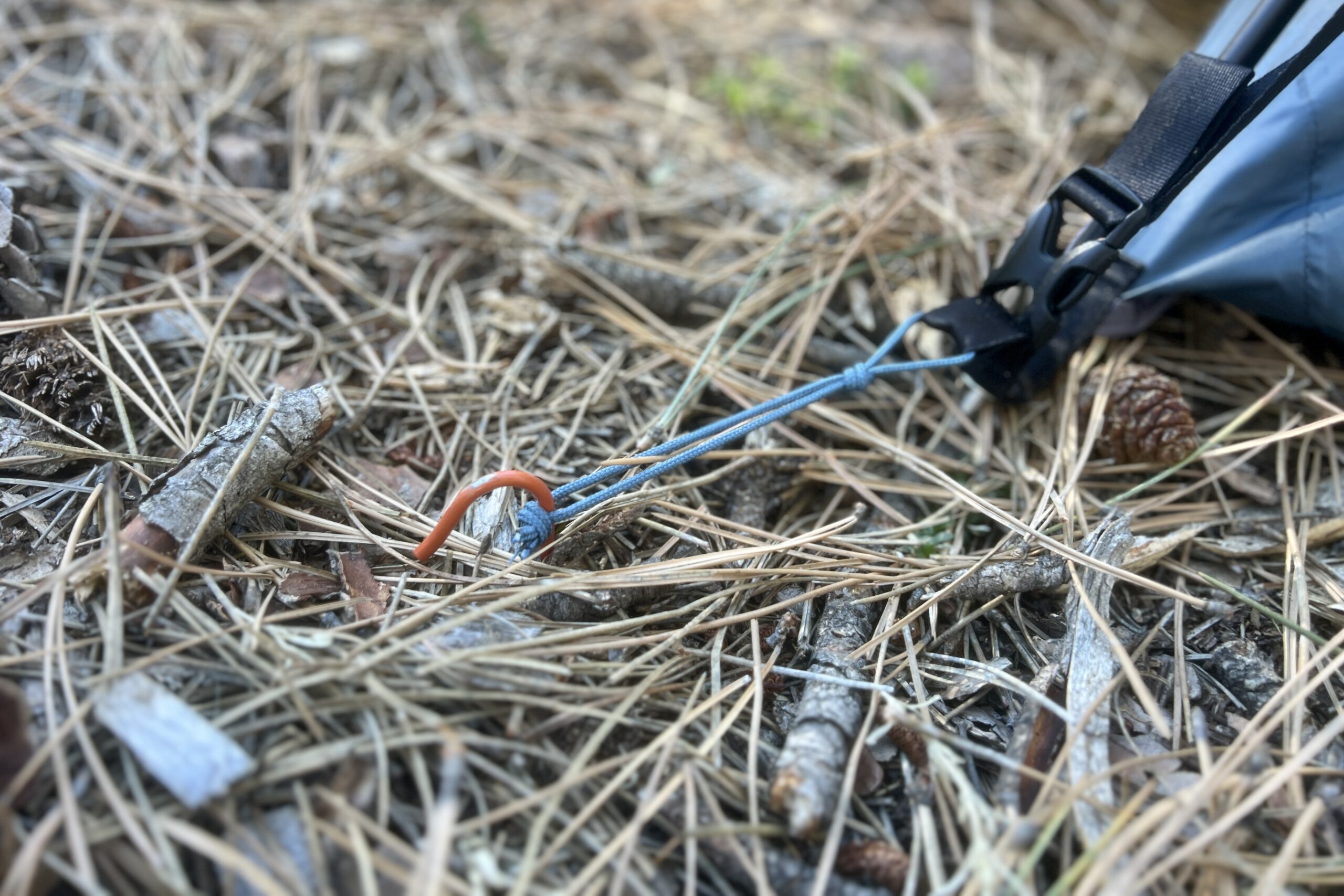 A close up of a tent stake anchoring a tent corner in piney soil.