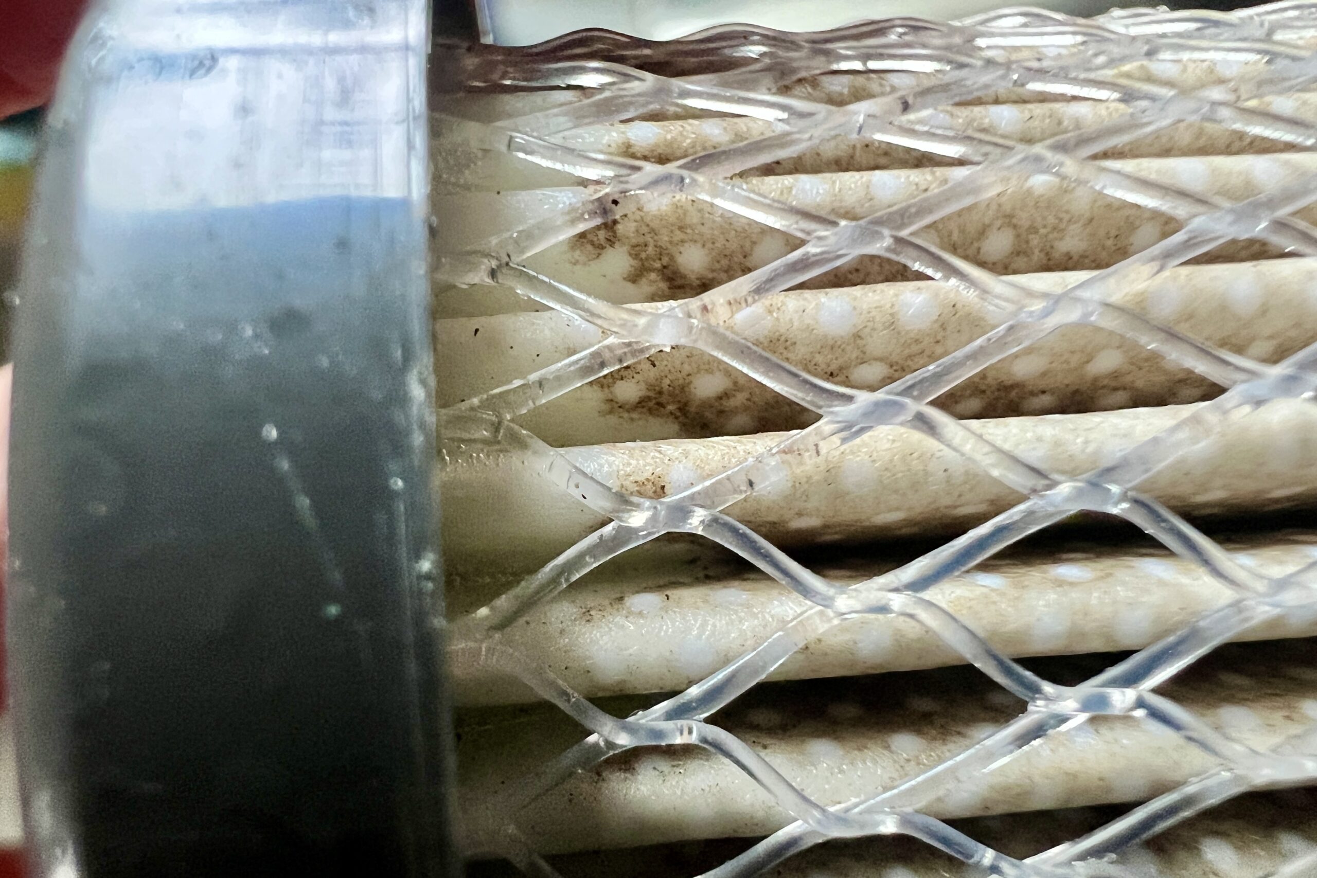 A closeup of a dirty water filter