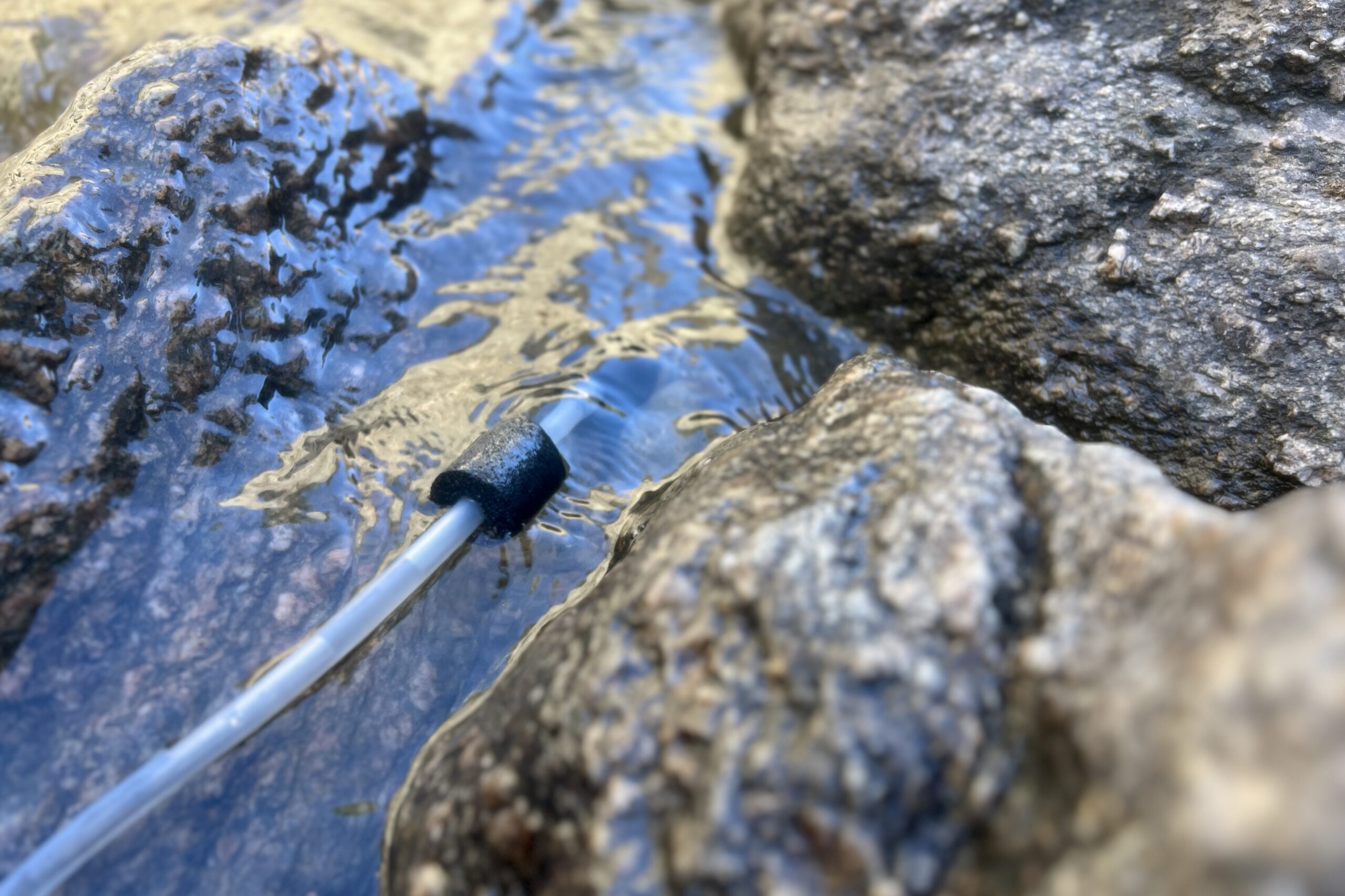 A close up of a hose with pre filter attached submersed in a creek.