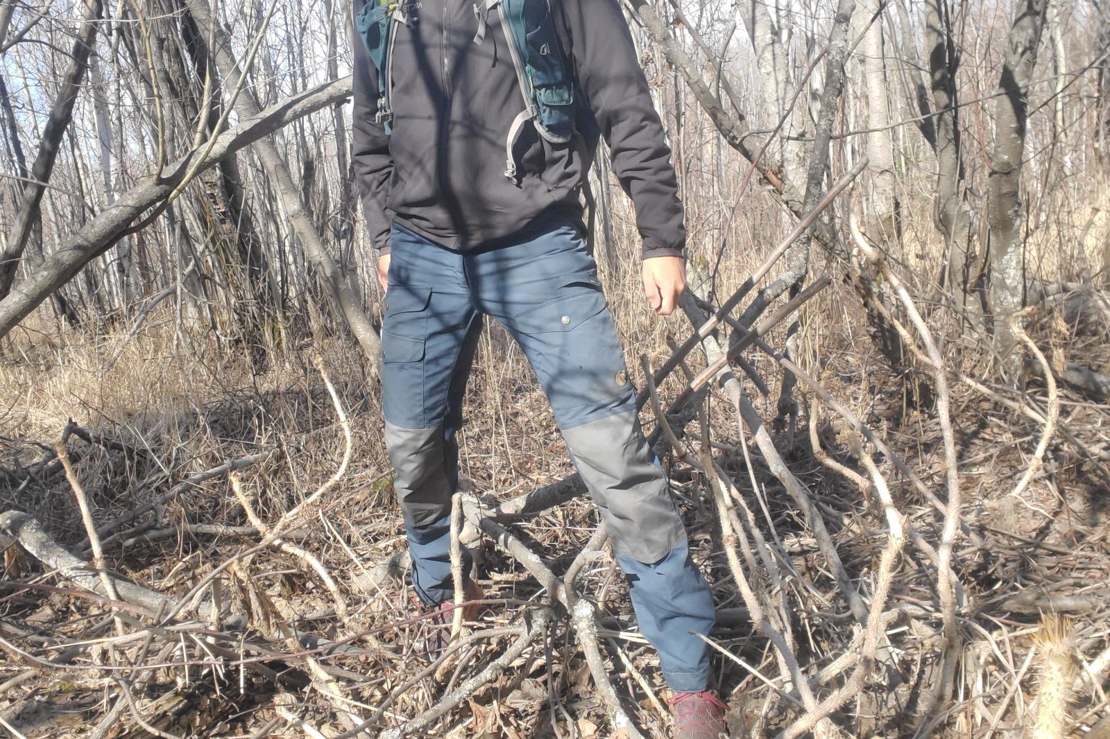 A man hikes through spikey plants.